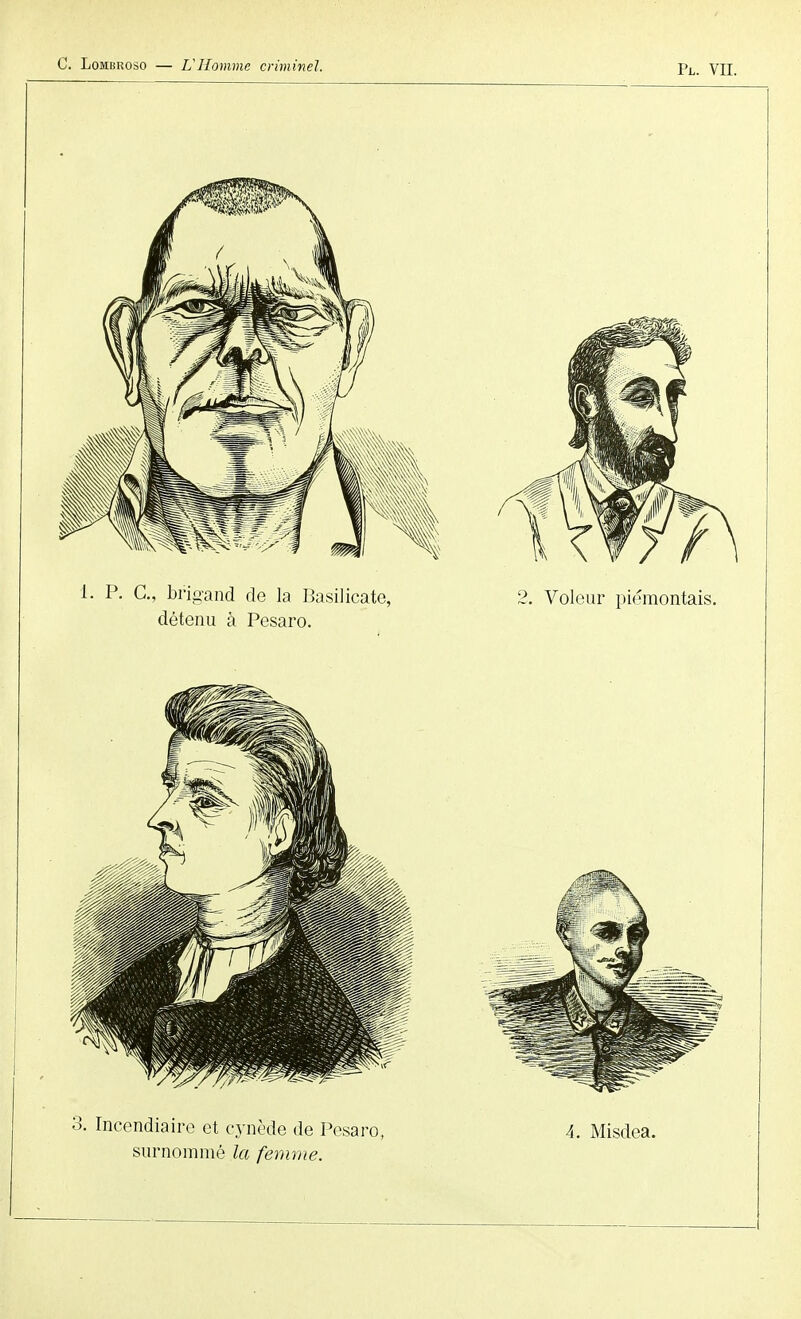 3. Incendiaire et c.ynède de Pesaro, A. Misdea. surnommé la femme.