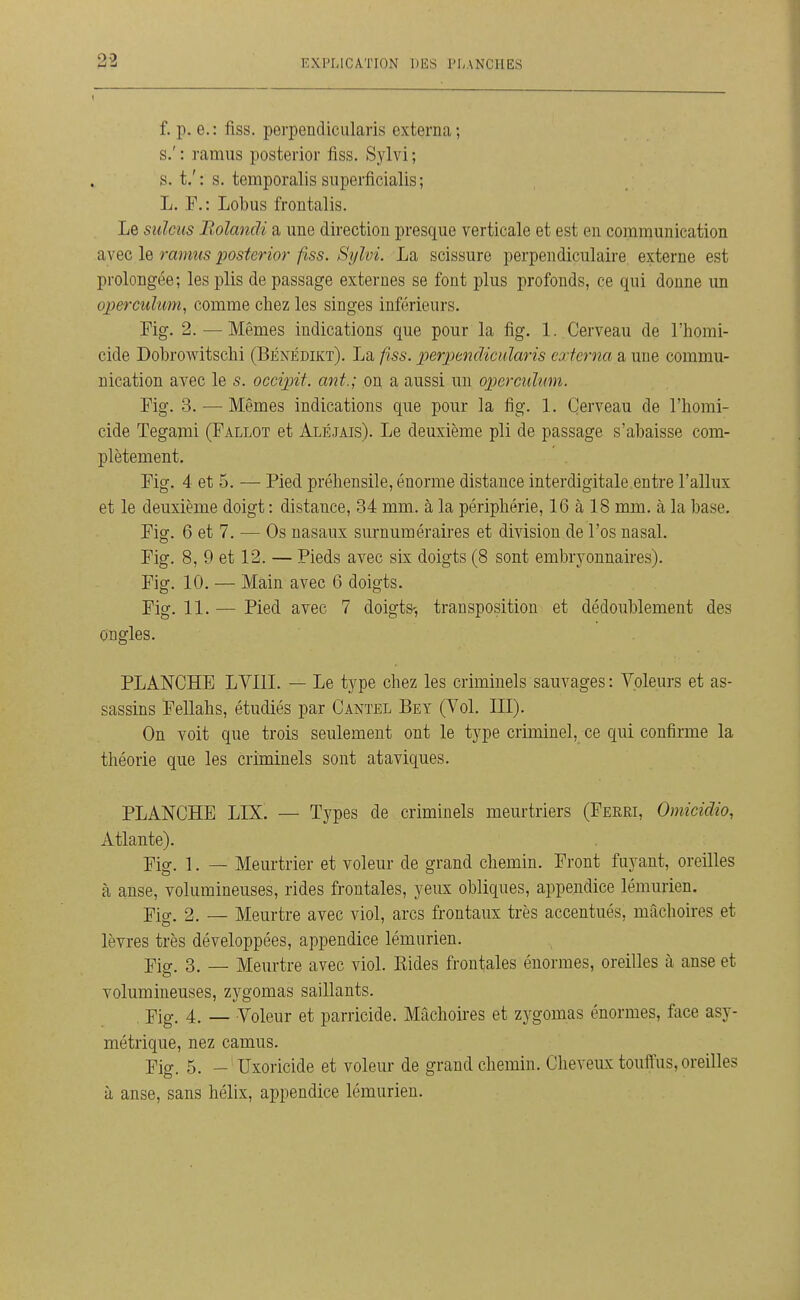 f. p. e.: fiss. perpendicularis externa; s.' : ramus posterior fiss. Sylvi ; s. t.': s. temporalis superficialis; L. F.: Lobus frontalis. Le sulciis Bolanâi a une direction presque verticale et est en communication avec le ramus posterior fiss. Sylvi. La scissure perpendiculaire externe est prolongée; les plis de passage externes se font plus profonds, ce qui donne un operculim, comme chez les singes inférieurs. Fig. 2.—Mêmes indications que pour la fig. 1. Cerveau de l'homi- cide Dobrowitschi (Bénédikt). La fiss. perpendicularis externa a une commu- nication avec le s. occipit. ant.; on a aussi un operculimi. Fig. 3. — Mêmes indications que pour la fig. 1. Cerveau de l'homi- cide Tegami (Fallot et âléjais). Le deuxième pli de passage s'abaisse com- plètement. Fig. 4 et 5. — Pied préhensile, énorme distance interdigitale entre l'allux et le deuxième doigt : distance, 34 mm. à la périphérie, 16 à 18 mm. à la base. Fig. 6 et 7. — Os nasaux surnuméraires et division de l'os nasal. Fig. 8, 9 et 12. — Pieds avec six doigts (8 sont embryonnaires). Fig. 10. — Main avec 6 doigts. Fig. 11. — Pied avec 7 doigts-, transposition et dédoublement des Ongles. PLANCHE LVIII. — Le type chez les criminels sauvages : Voleurs et as- sassins Fellahs, étudiés par Cantel Bey (Vol. III). On voit que trois seulement ont le type criminel, ce qui confirme la théorie que les criminels sont ataviques. PLANCHE LIX. — Types de criminels meurtriers (Ferri, Omicidio, Atlante). Piff. 1. — Meurtrier et voleur de grand chemin. Front fuvant, oreilles à anse, volumineuses, rides frontales, yeux obliques, appendice lémurien. YicT. 2. — Meurtre avec viol, arcs frontaux très accentués, mâchoires et lèvres très développées, appendice lémurien. Fiff. 3. — Meurtre avec viol. Rides frontales énormes, oreilles à anse et volumineuses, zygomas saillants. Yig. 4. — Voleur et parricide. Mâchoires et zygomas énormes, face asy- métrique, nez camus. Fig. 5. - Uxoricide et voleur de grand chemin. Cheveux touiïus, oreilles à anse, sans hélix, appendice lémurien.