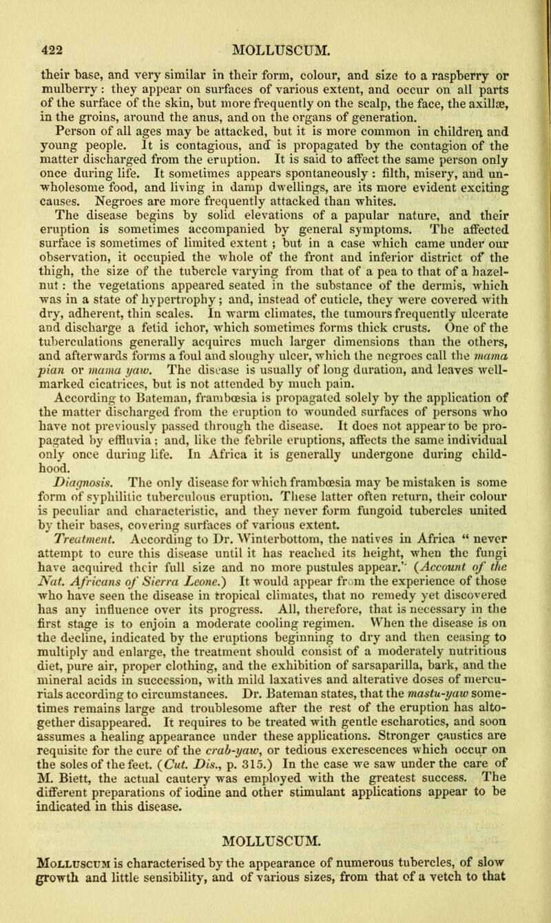 their base, and very similar in their form, colour, and size to a raspberry or mulberry: they appear on surfaces of various extent, and occur on all parts of the surface of the skin, but more frequently on the scalp, the face, the axillse, in the groins, around the anus, and on the organs of generation. Person of all ages may be attacked, but it is more common in children and young people. It is contagious, and is propagated by the contagion of the matter discharged from the eruption. It is said to atfect the same person only once during life. It sometimes appears spontaneously : filth, misery, and un- wholesome food, and living in damp dwellings, are its more evident exciting causes. Negroes are more frequently attacked than whites. The disease begins by solid elevations of a papular nature, and their eruption is sometimes accompanied by general symptoms. The affected surface is sometimes of limited extent ; but in a case which came under our observation, it occupied the whole of the front and inferior district of the thigh, the size of the tubercle varying from that of a pea to that of a hazel- nut : the vegetations appeared seated in the substance of the dermis, which was in a state of hypertrophy ; and, instead of cuticle, they were covered with dry, adherent, thin scales. In warm climates, the tumours frequently ulcerate and discharge a fetid ichor, which sometimes forms thick crusts. One of the tuberculations generally acquires much larger dimensions than the others, and afterwards forms a foul and sloughy ulcer, which the negroes call the mama pian or mama yaw. The disease is usually of long duration, and leaves well- marked cicatrices, but is not attended by much pain. According to Bateman, frambeesia is propagated solely by the application of the matter discharged from the eruption to wounded surfaces of persons who have not previously passed through the disease. It does not appear to be pro- pagated by effluvia; and, like the febrile eruptions, affects the same individual only once during life. In Africa it is generally undergone during child- hood. Diagnosis. The only disease for which frambeesia may be mistaken is some form of syphilitic tuberculous eruption. These latter often return, their colour is peculiar and characteristic, and they never form, fungoid tubercles united by their bases, covering surfaces of various extent. Treatment. According to Dr. Winterbottom, the natives in Africa “ never attempt to cure this disease until it has reached its height, when the fungi have acquired their full size and no more pustules appear.’' (.Account of the Nat. Africans of Sierra Leone.) It would appear from the experience of those who have seen the disease in tropical climates, that no remedy yet discovered has any influence over its progress. All, therefore, that is necessary in the first stage is to enjoin a moderate cooling regimen. When the disease is on the decline, indicated by the eruptions beginning to dry and then ceasing to multiply and enlarge, the treatment should consist of a moderately nutritious diet, pure air, proper clothing, and the exhibition of sarsaparilla, bark, and the mineral acids in succession, with mild laxatives and alterative doses of mercu- rials according to circumstances. Dr. Bateman states, that the mastu-yaw some- times remains large and troublesome after the rest of the eruption has alto- gether disappeared. It requires to be treated with gentle escharotics, and soon assumes a healing appearance under these applications. Stronger caustics are requisite for the cure of the crab-yaw, or tedious excrescences which occur on the soles of the feet. {Cut. Dis., p. 315.) In the case we saw under the care of M. Biett, the actual cautery was employed with the greatest success. The different preparations of iodine and other stimulant applications appear to be indicated in this disease. MOLLUSCUM. Molluscum is characterised by the appearance of numerous tubercles, of slow growth and little sensibility, and of various sizes, from that of a vetch to that
