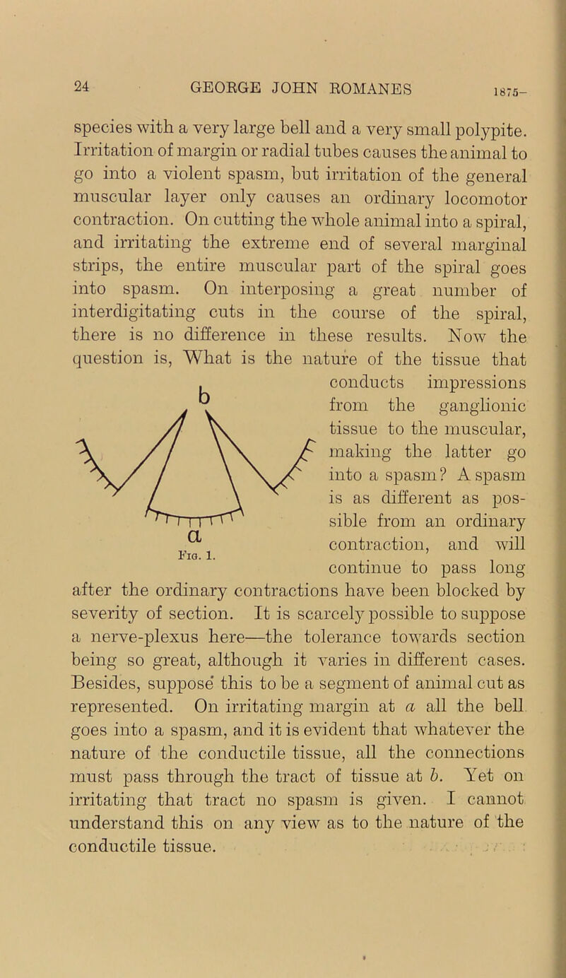 1875- species with a very large bell and a very small polypite. Irritation of margin or radial tubes causes the animal to go into a violent spasm, but irritation of the general muscular layer only causes an ordinary locomotor contraction. On cutting the whole animal into a spiral, and irritating the extreme end of several marginal strips, the entire muscular part of the spiral goes into spasm. On interposing a great number of interdigitating cuts in the course of the spiral, there is no difference in these results. Now the question is. What is the nature of the tissue that conducts impressions from the ganglionic tissue to the muscular, making the latter go into a spasm? A spasm is as different as pos- sible from an ordinary contraction, and will continue to pass long after the ordinary contractions have been blocked by severity of section. It is scarcely possible to suppose a nerve-plexus here—the tolerance towards section being so great, although it varies in different cases. Besides, suppose' this to be a segment of animal cut as represented. On irritating margin at a all the bell goes into a spasm, and it is evident that whatever the nature of the conductile tissue, all the connections must pass through the tract of tissue at h. Yet on irritating that tract no spasm is given. I cannot understand this on any view as to the nature of the conductile tissue. b a Fig. 1.