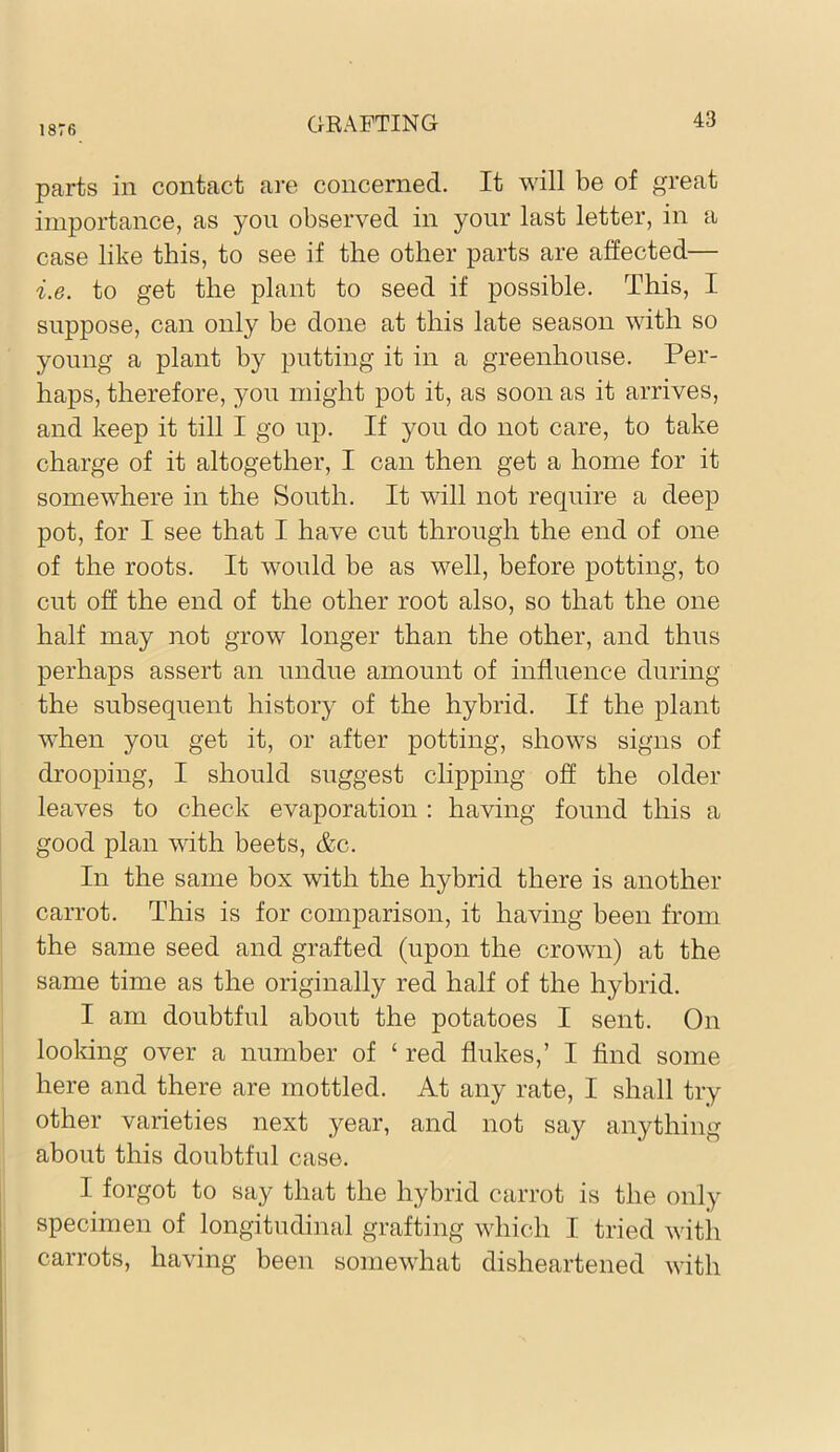 1876 parts in contact are concerned. It will be of great importance, as you observed in your last letter, in a case like this, to see if the other parts are affected— i.e. to get the plant to seed if possible. This, I suppose, can only be done at this late season with so young a plant by putting it in a greenhouse. Per- haps, therefore, you might pot it, as soon as it arrives, and keep it till I go up. If you do not care, to take charge of it altogether, I can then get a home for it somewhere in the South. It will not require a deep pot, for I see that I have cut through the end of one of the roots. It would be as well, before potting, to cut off the end of the other root also, so that the one half may not grow longer than the other, and thus perhaps assert an undue amount of influence during the subsequent history of the hybrid. If the plant when you get it, or after potting, shows signs of drooping, I should suggest clipping off the older leaves to check evaporation : having found this a good plan wdth beets, &c. In the same box with the hybrid there is another carrot. This is for comparison, it having been from the same seed and grafted (upon the crown) at the same time as the originally red half of the hybrid. I am doubtful about the potatoes I sent. On looking over a number of ‘ red flukes,’ I find some here and there are mottled. At any rate, I shall try other varieties next year, and not say anything about this doubtful case. I forgot to say that the hybrid carrot is the only specimen of longitudinal grafting which I tried witli carrots, having been somewhat disheartened with