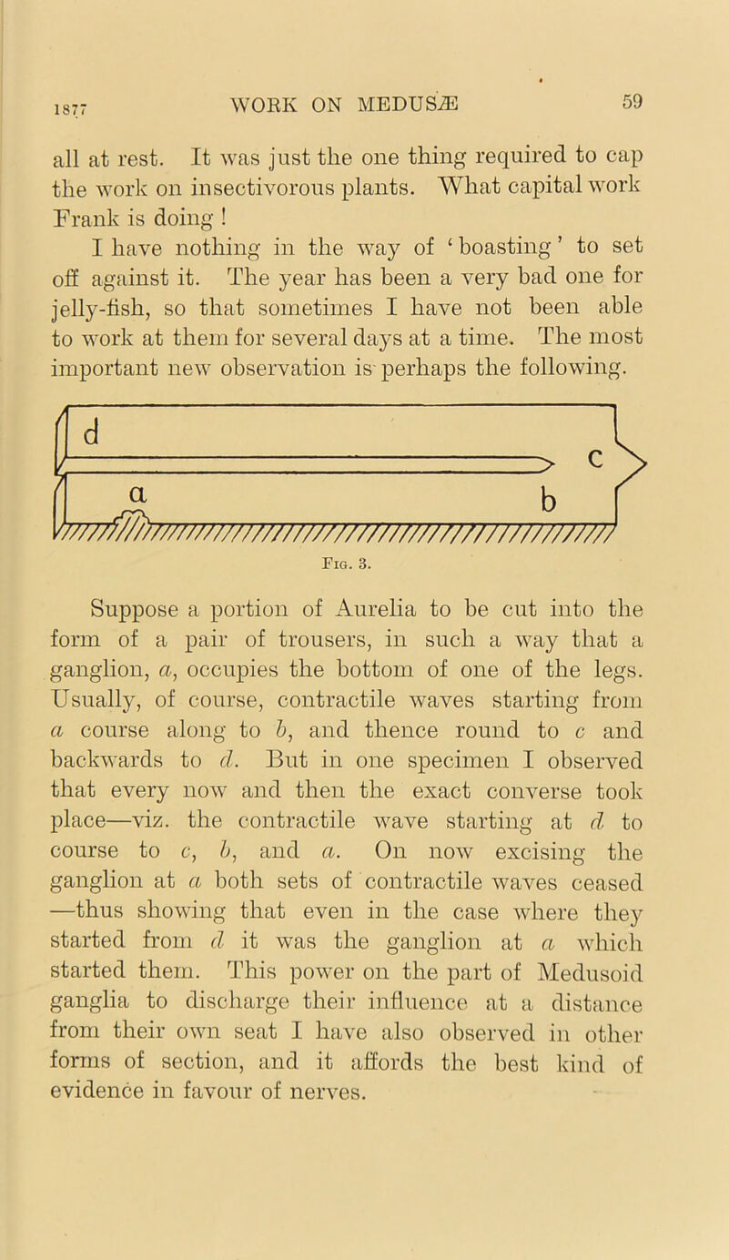 1877 all at rest. It was just the one thing required to cap the work on insectivorous plants. What capital work Frank is doing ! I have nothing in the way of ‘ boasting ’ to set off against it. The year has been a very bad one for jelly-fish, so that sometiines I have not been able to work at them for several days at a time. The most important new observation is' perhaps the following. d b h7777ff//)mwW///N/W/rm7777r7777///////7T/7/ Fig. 3. Suppose a portion of Aurelia to be cut into the form of a pair of trousers, in such a way that a ganglion, <2, occupies the bottom of one of the legs. Usually, of course, contractile waves starting from a course along to 6, and thence round to c and backwards to d. But in one specimen I observed that every now and then the exact converse took place—viz. the contractile wave starting at d to course to c, />, and a. On now excising the ganglion at a both sets of contractile waves ceased —thus showing that even in the case where they started from d it was the ganglion at a which started them. This power on the part of Medusoid ganglia to discharge their influence at a distance from their own seat I have also observed in other forms of section, and it affords the best kind of evidence in favour of nerves.
