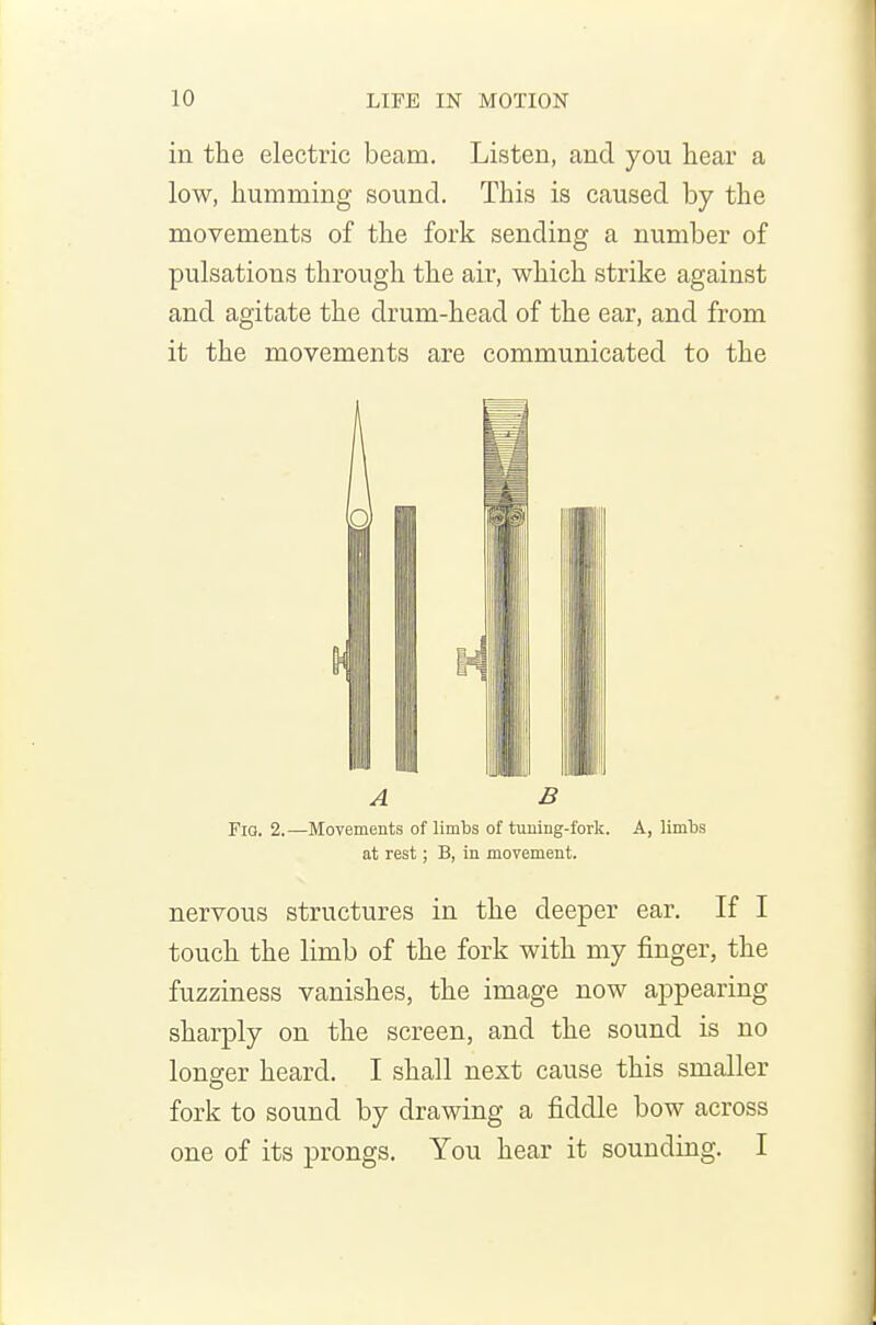 in the electric beam. Listen, and you hear a low, humming sound. This is caused by the movements of the fork sending a number of pulsations through the air, which strike against and agitate the drum-head of the ear, and from it the movements are communicated to the FiQ. 2.—Movements of limbs of tuning-fork. A, limbs at rest; B, in movement. nervous structures in the deeper ear. If I touch the limb of the fork with my finger, the fuzziness vanishes, the image now appearing sharply on the screen, and the sound is no longer heard. I shall next cause this smaller fork to sound by drawing a fiddle bow across one of its prongs. You hear it sounding. I