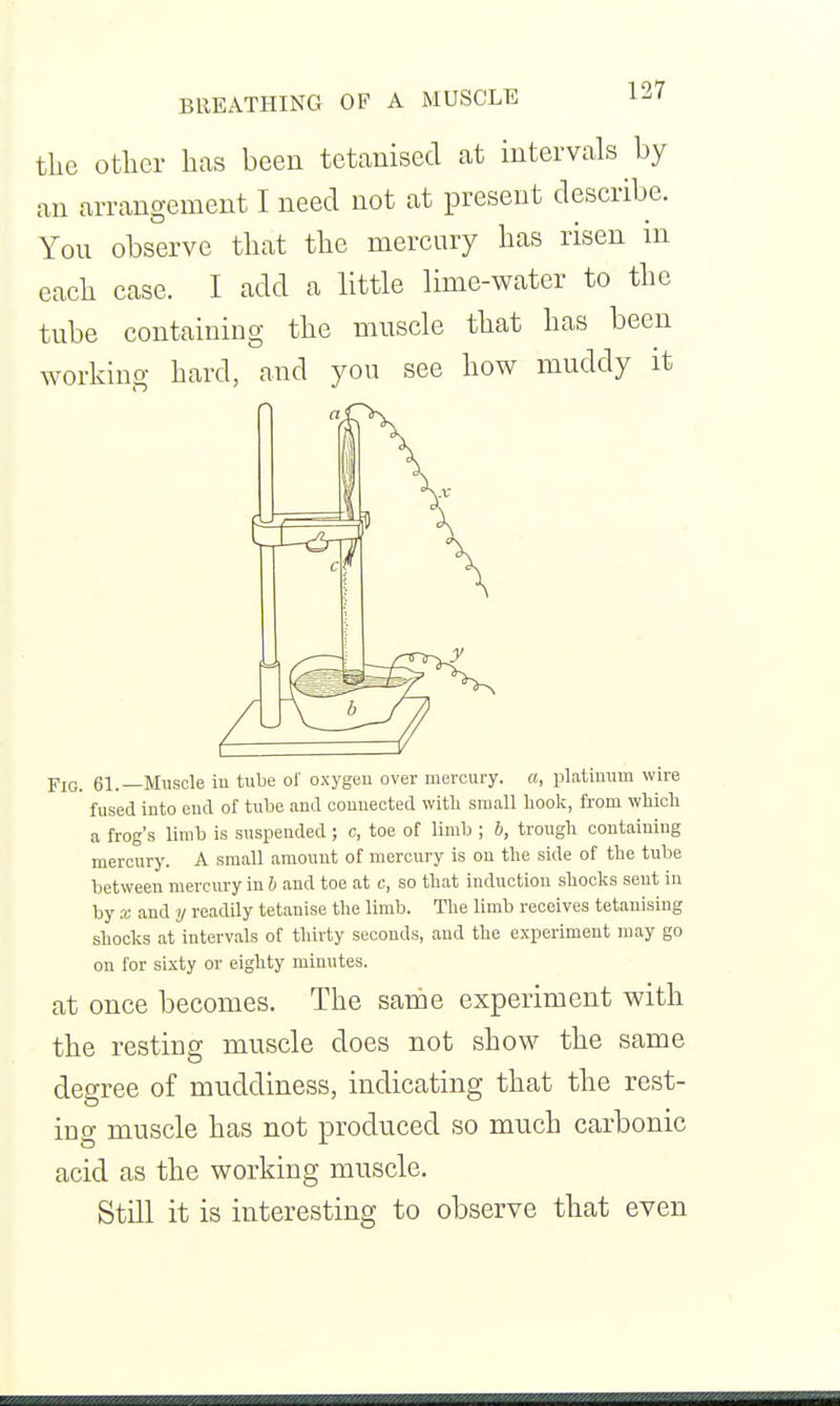the Other has been tetanised at intervals by an arrangement I need not at present describe. You observe that the mercury has risen m each case. I add a little lime-water to the tube containing the muscle that has been working hard, and you see how muddy it FlO. 61.—Muscle lu tube ol oxygen over mercury, a, platinum wire fused into end of tube and connected with small hook, from which a frog's limb is suspended; c, toe of limb ; h, trough containing mercury. A small amount of mercury is on the side of the tube between mercury in h and toe at c, so that induction shocks sent in by X and y readily tetanise the limb. The limb receives tetanising shocks at intervals of thirty seconds, and the experiment niay go on for sixty or eighty minutes. at once becomes. The same experiment with the resting muscle does not show the same degree of muddiness, indicating that the rest- ing muscle has not produced so much carbonic acid as the working muscle. Still it is interesting to observe that even