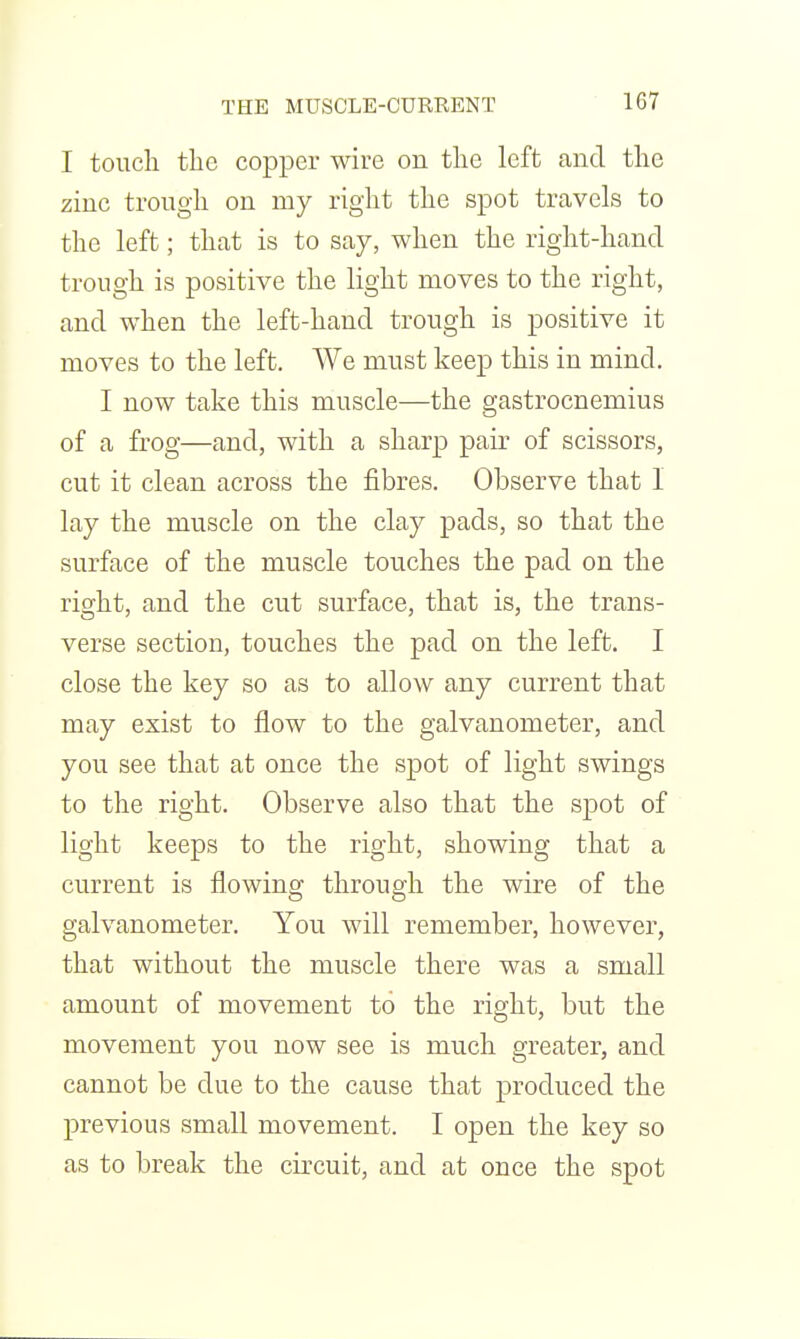 THE MUSCLE-CURRENT I touch the copper wire on the left and the zinc trough on my right the spot travels to the left; that is to say, when the right-hand trough is positive the light moves to the right, and when the left-hand trough is positive it moves to the left. AVe must keep this in mind. I now take this muscle—the gastrocnemius of a frog—and, with a sharp pair of scissors, cut it clean across the fibres. Observe that 1 lay the muscle on the clay pads, so that the surface of the muscle touches the pad on the right, and the cut surface, that is, the trans- verse section, touches the pad on the left. I close the key so as to allow any current that may exist to flow to the galvanometer, and you see that at once the spot of light swings to the right. Observe also that the spot of light keeps to the right, showing that a current is flowing through the wire of the galvanometer. You will remember, however, that without the muscle there was a small amount of movement to the right, but the movement you now see is much greater, and cannot be due to the cause that produced the previous small movement. I open the key so as to break the circuit, and at once the spot