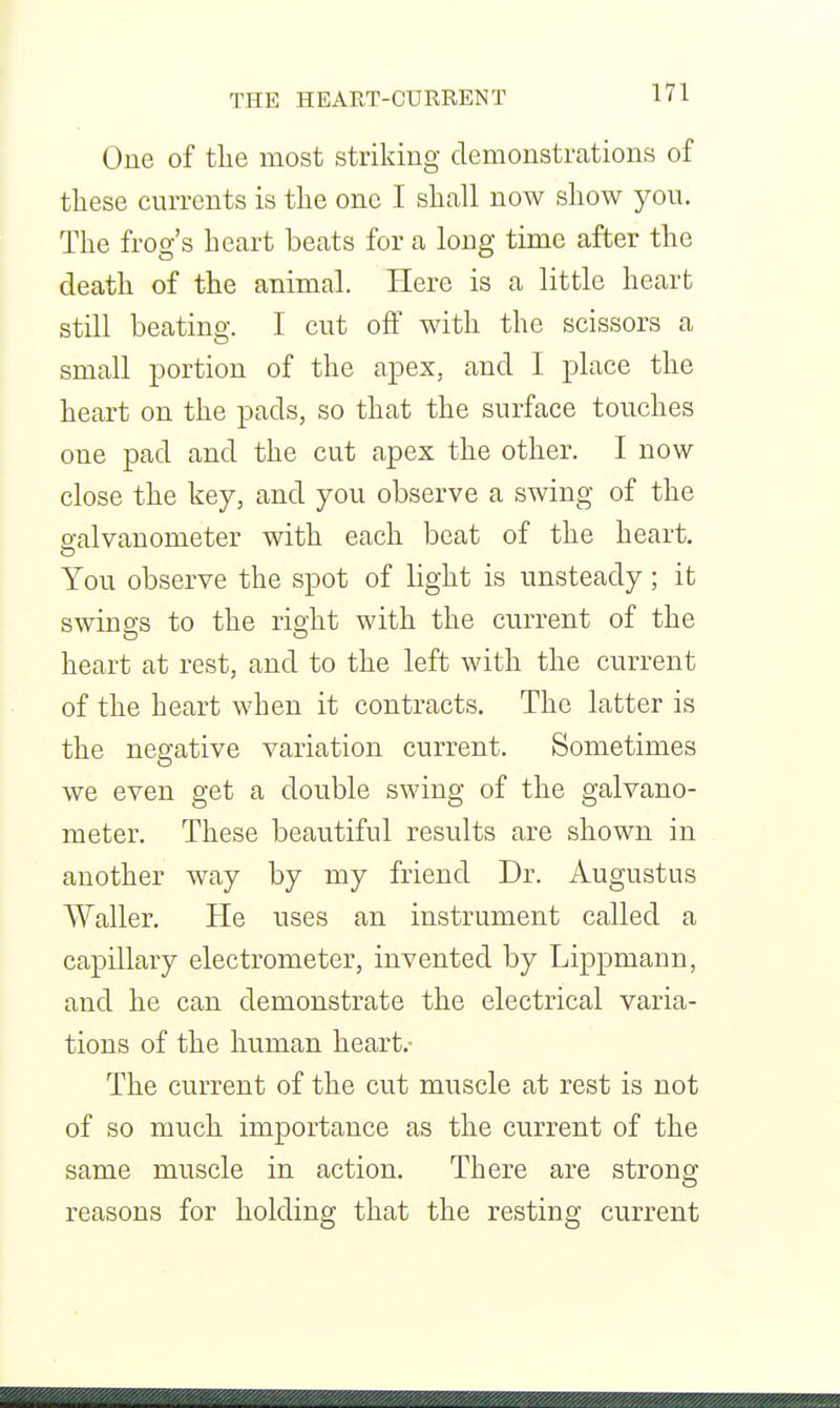 One of tlie most striking demonsti'cations of these currents is the one I shall now show you. The frog's heart beats for a long time after the death of the animal. Here is a little heart still beating. I cut off with the scissors a small portion of the apex, and I place the heart on the pads, so that the surface touches one pad and the cut apex the other. I now close the key, and you observe a swing of the galvanometer with each beat of the heart. You observe the spot of light is unsteady; it swings to the right with the current of the heart at rest, and to the left with the current of the heart when it contracts. The latter is the negative variation current. Sometimes we even get a double swing of the galvano- meter. These beautiful results are shown in another way by my friend Dr. Augustus Waller. He uses an instrument called a capillary electrometer, invented by Lippmann, and he can demonstrate the electrical varia- tions of the human heart.- The current of the cut muscle at rest is not of so much importance as the current of the same muscle in action. There are strong reasons for holding that the resting current