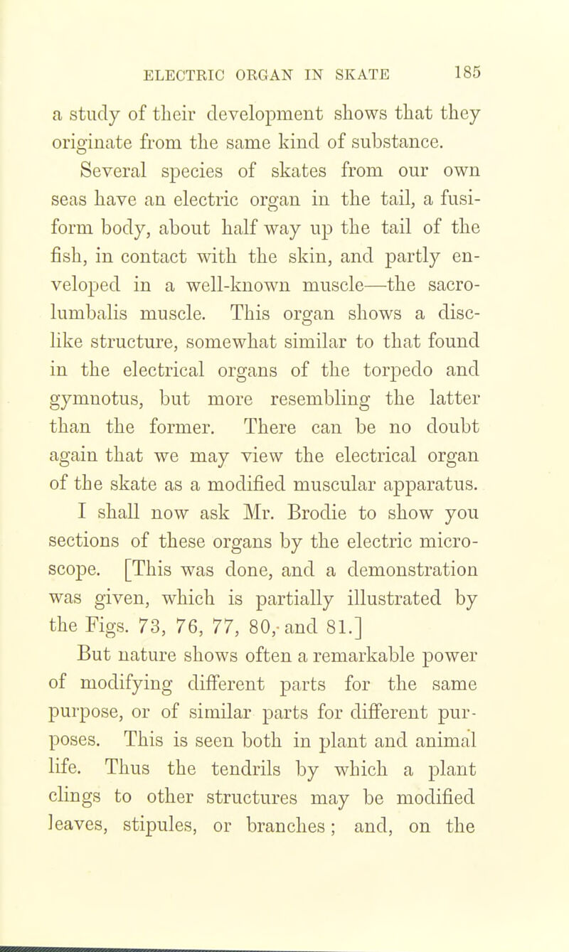 a study of their development shows that they originate from the same kind of substance. Several species of skates from our own seas have an electric organ in the tail, a fusi- form body, about half way up the tail of the fish, in contact with the skin, and partly en- veloped in a well-known muscle—the sacro- lumbalis muscle. This organ shows a disc- like structure, somewhat similar to that found in the electrical organs of the torpedo and gymnotus, but more resembling the latter than the former. There can be no doubt again that we may view the electrical organ of the skate as a modified muscular apparatus. I shall now ask Mr. Brodie to show you sections of these organs by the electric micro- scope. [This was done, and a demonstration was given, which is partially illustrated by the Figs. 73, 76, 77, 80,-and 81.] But nature shows often a remarkable power of modifying different parts for the same purpose, or of similar parts for different pur- poses. This is seen both in plant and animal life. Thus the tendrils by which a plant clings to other structures may be modified leaves, stipules, or branches; and, on the