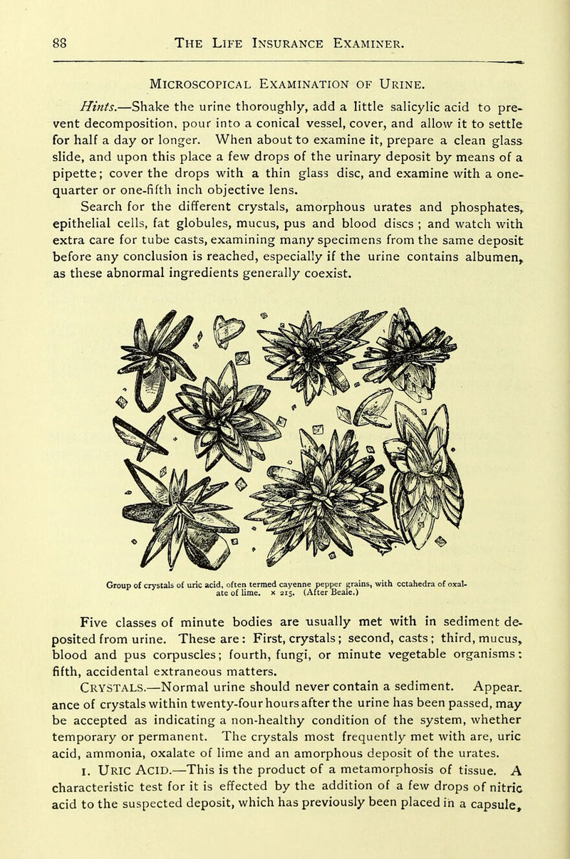 Microscopical Examination of Urine. Hittts.—Shake the urine thoroughly, add a little salicylic acid to pre- vent decomposition, pour into a conical vessel, cover, and allow it to settle for half a day or longer. When about to examine it, prepare a clean glass slide, and upon this place a few drops of the urinary deposit by means of a pipette; cover the drops with a thin glass disc, and examine with a one- quarter or one-fifth inch objective lens. Search for the different crystals, amorphous urates and phosphates,, epithelial cells, fat globules, mucus, pus and blood discs ; and watch with extra care for tube casts, examining many specimens from the same deposit before any conclusion is reached, especially if the urine contains albumen, as these abnormal ingredients generally coexist. Group of crystals of uric acid, often termed cayenne pepper grains, with cctahedra of oxal- ate of lime. X 215. (After Beale.) Five classes of minute bodies are usually met with in sediment de- posited from urine. These are: First, crystals; second, casts; third, mucus, blood and pus corpuscles; fourth, fungi, or minute vegetable organisms; fifth, accidental extraneous matters. Crystals.—Normal urine should never contain a sediment. Appear, ance of crystals within twenty-four hours after the urine has been passed, may be accepted as indicating a non-healthy condition of the system, whether temporary or permanent. The crystals most frequently met with are, uric acid, ammonia, oxalate of lime and an amorphous deposit of the urates. I. Uric Acid.—This is the product of a metamorphosis of tissue. A characteristic test for it is effected by the addition of a few drops of nitric acid to the suspected deposit, which has previously been placed in a capsule.