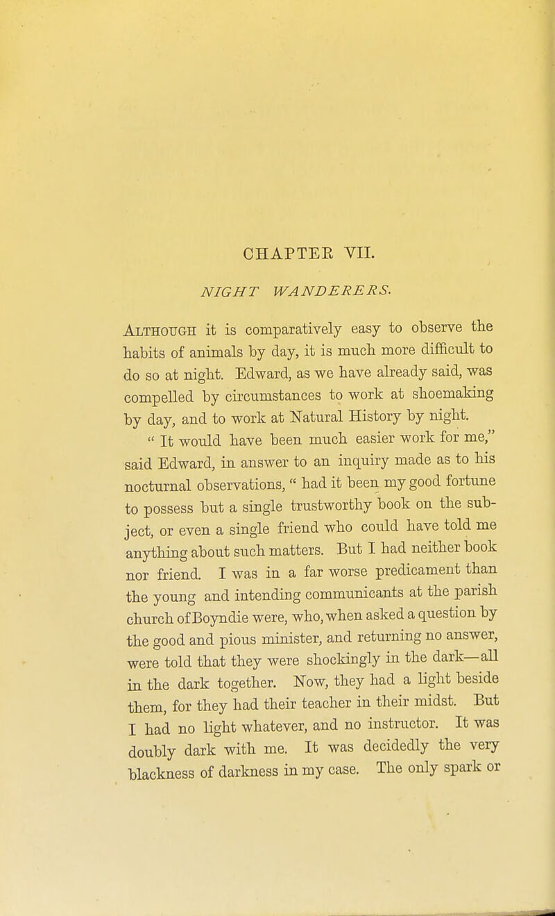 NIGHT WANDERERS. Although it is comparatively easy to observe the habits of animals by day, it is much more difficult to do so at night. Edward, as we have already said, was compelled by circumstances to work at shoemaldng by day, and to work at Natural History by night.  It would have been much easier work for me, said Edward, in answer to an inquiry made as to his nocturnal observations,  had it been my good fortune to possess but a single trustworthy book on the sub- ject, or even a single friend who could have told me anything about such matters. But I had neither book nor friend. I was in a far worse predicament than the young and intending communicants at the parish church of Boyndie were, who, when asked a question by the good and pious minister, and returning no answer, were told that they were shockingly in the dark—all in the dark together. N'ow, they had a light beside them, for they had their teacher in their midst. But I had no light whatever, and no instructor. It was doubly dark with me. It was decidedly the very blackness of darkness in my case. The only spark or