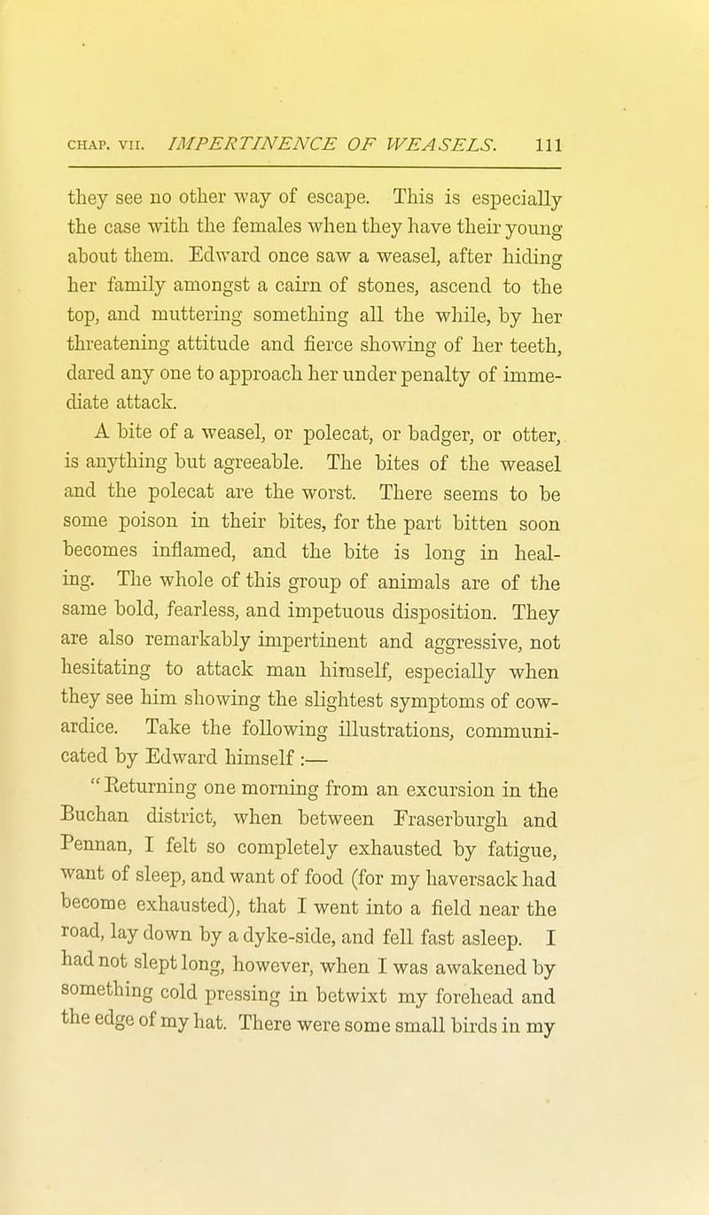 they see no other way of escape. This is especially the case with the females when they have their young ahout them. Edward once saw a weasel, after hidinsr her family amongst a cairn of stones, ascend to the top, and muttering something all the while, by her threatening attitude and fierce showing of her teeth, dared any one to approach her under penalty of imme- diate attack. A bite of a weasel, or polecat, or badger, or otter, is anything but agreeable. The bites of the weasel and the polecat are the worst. There seems to be some poison in their bites, for the part bitten soon becomes inflamed, and the bite is long in heal- ing. The whole of this group of animals are of the same bold, fearless, and impetuous disposition. They are also remarkably impertinent and aggressive, not hesitating to attack man himself, especially when they see him showing the slightest symptoms of cow- ardice. Take the following illustrations, communi- cated by Edward himself :—  Eeturning one morning from an excursion in the Buchan district, when between Fraserburgh and Pennan, I felt so completely exhausted by fatigue, want of sleep, and want of food (for my haversack had become exhausted), that I went into a field near the road, lay down by a dyke-side, and fell fast asleep. I had not slept long, however, when I was awakened by something cold pressing in betwixt my forehead and the edge of my hat. There were some small birds in my
