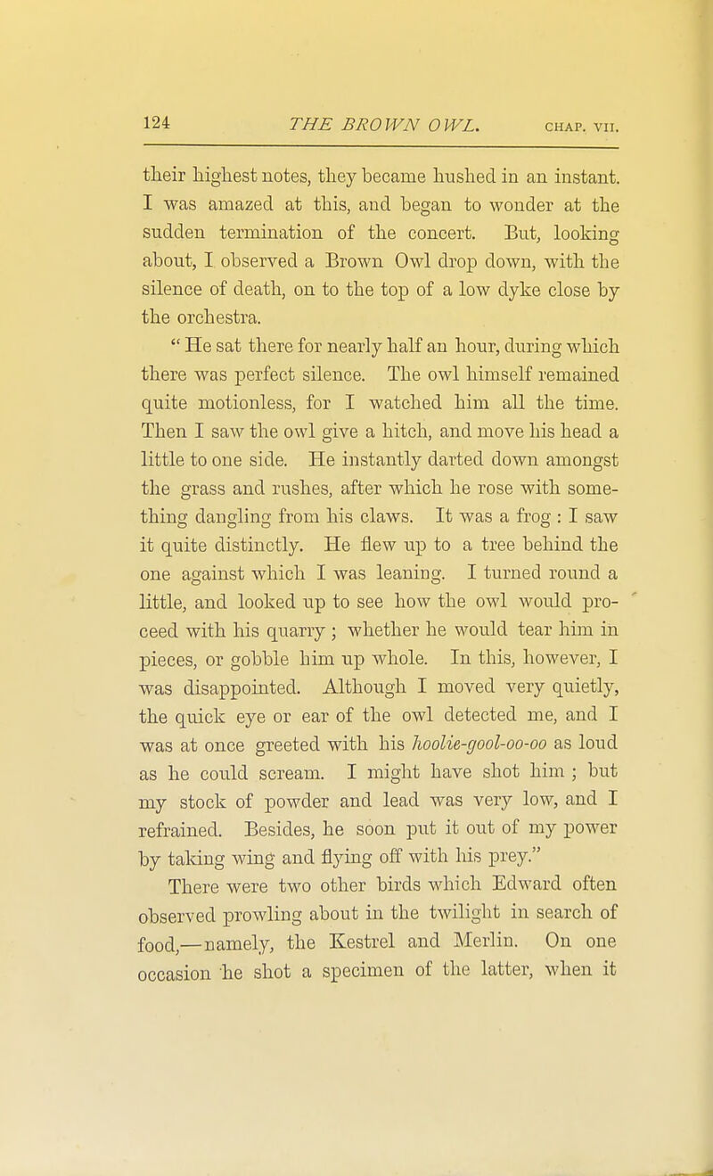 CHAP. VII. their highest notes, they became hushed in an instant. I was amazed at this, and began to wonder at the sudden termination of the concert. But, looking about, I observed a Brown Owl drop down, with the silence of death, on to the top of a low dyke close by the orchestra.  He sat there for nearly half an hour, during which there was perfect silence. The owl himself remained quite motionless, for I watched him all the time. Then I saw the owl give a hitch, and move his head a little to one side. He instantly darted down amongst the grass and rushes, after which he rose with some- thing dangling from his claws. It was a frog : I saw it quite distinctly. He flew up to a tree behind the one against which I was leaning. I turned round a little, and looked up to see how the owl would pro- ceed with his quarry ; whether he would tear him in pieces, or gobble him up whole. In this, however, I was disappointed. Although I moved very quietly, the quick eye or ear of the owl detected me, and I was at once greeted with his hoolie-gool-oo-oo as loud as he could scream. I might have shot him ; but my stock of powder and lead was very low, and I refrained. Besides, he soon put it out of my power by taking wing and flying off with his prey. There were two other birds which Edward often observed prowling about in the twilight in search of food,—namely, the Kestrel and Merlin. On one occasion he shot a specimen of the latter, when it
