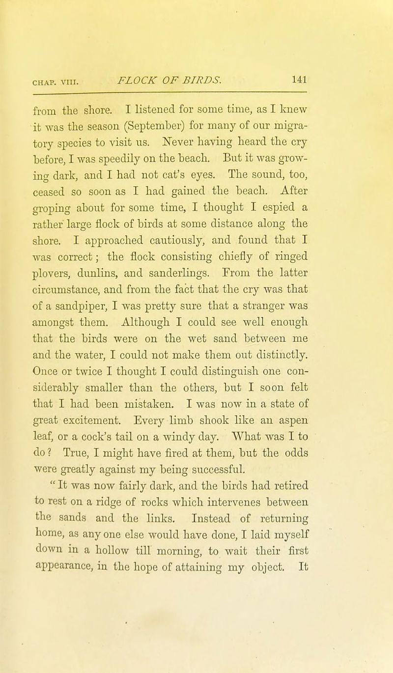 from the shore. I listened for some time, as I knew it was the season (September) for many of our migra- tory species to visit us. Never having heard the cry before, I was speedily on the beach. But it was grow- ing dark, and I had not cat's eyes. The sound, too, ceased so soon as I had gained the beach. After groping about for some time, I thought I espied a rather large flock of birds at some distance along the shore. I approached cautiously, and found that I was correct; the flock consisting chiefly of ringed plovers, dunlins, and sanderlings. From the latter circumstance, and from the fact that the cry was that of a sandpiper, I was pretty sure that a stranger was amongst them. Although I could see well enough that the birds were on the wet sand between me and the water, I could not make them out distinctly. Once or twice I thought I could distinguish one con- siderably smaller than the others, but I soon felt that I had been mistaken. I was now in a state of great excitement. Every limb shook like an. aspen leaf, or a cock's tail on a windy day. What was I to do ? True, I might have fired at them, but the odds were greatly against my being successful.  It was now fairly dark, and the birds had retired to rest on a ridge of rocks which intervenes between the sands and the links. Instead of returning home, as any one else would have done, I laid myself down in a hollow till morning, to wait their first appearance, in the hope of attaining my object. It