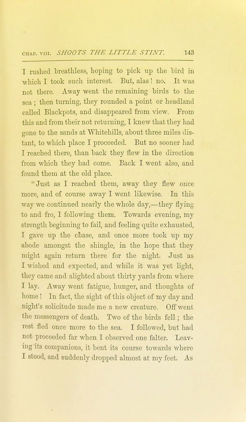 I rushed breathless, hoping to pick tip the hird in which I took such interest. But, alas ! no. It was not there. Away went the remaining birds to tlie sea ; then turning, they rounded a point or headland called Blackpots, and disappeared from view. From this and from their not returning, T knew that they had cone to the sands at Whitehills, about three miles dis- tant, to which place I proceeded. But no sooner had I reached there, than back they flew in the direction from which they had come. Back I went also, and found them at the old place. Just as I reached them, away they flew once more, and of course away I went likewise. In this way we continued nearly the whole day,—^they flying to and fro, I following them. Towards evening, my strength beginning to fail, and feeling quite exhausted, I gave up the chase, and once more took up my abode amongst the shingle, in the hope that they might again return there for the night. Just as I wished and expected, and while it was yet light, they came and alighted about thirty yards from where I lay. Away went fatigue, hunger, and thoughts of home ! In fact, the sight of this object of my day and night's solicitude made me a new creature. Off went the messengers of death. Two of the birds fell; the rest fled once more to the sea. I followed, but had not proceeded far when I observed one falter. Leav- ing Its companions, it bent its course towards where I stood, and suddenly dropped almost at my feet. As