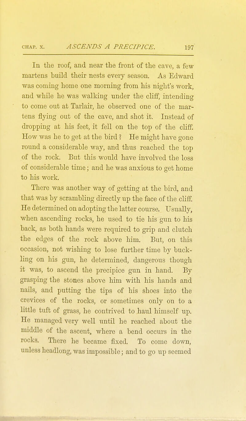 In the roof, and near the front of the cave, a few- martens build their nests every season. As Edward was coming home one morning from his night's work, and while he was walking under the cliff, intending to come out at Tarlair, he observed one of the mar- tens flying out of the cave, and shot it. Instead of dropping at his feet, it fell on the top of the cUff, How was he to get at the bird ? He might have gone round a considerable way, and thus reached the top of the rock. But this would have involved the loss of considerable time; and he was anxious to get home to his work. There was another way of getting at the bird, and that was by scrambling directly up the face of the cUff. He determined on adopting the latter course. Usually, when ascending rocks, he used to tie his gun to his back, as both hands were required to grip and clutch the edges of the rock above him. But, on this occasion, not wishing to lose further time by buck- ling on his gun, he determined, dangerous though it was, to ascend the precipice gun in hand. By grasping the stones above him with his hands and nails, and putting the tips of his shoes into the crevices of the rocks, or sometimes only on to a little tuft of grass, he contrived to haul himself up. He managed very well until he reached about the middle of the ascent, where a bend occurs in the rocks. There he became fixed. To come down, unless headlong, was impossible; and to go up seemed
