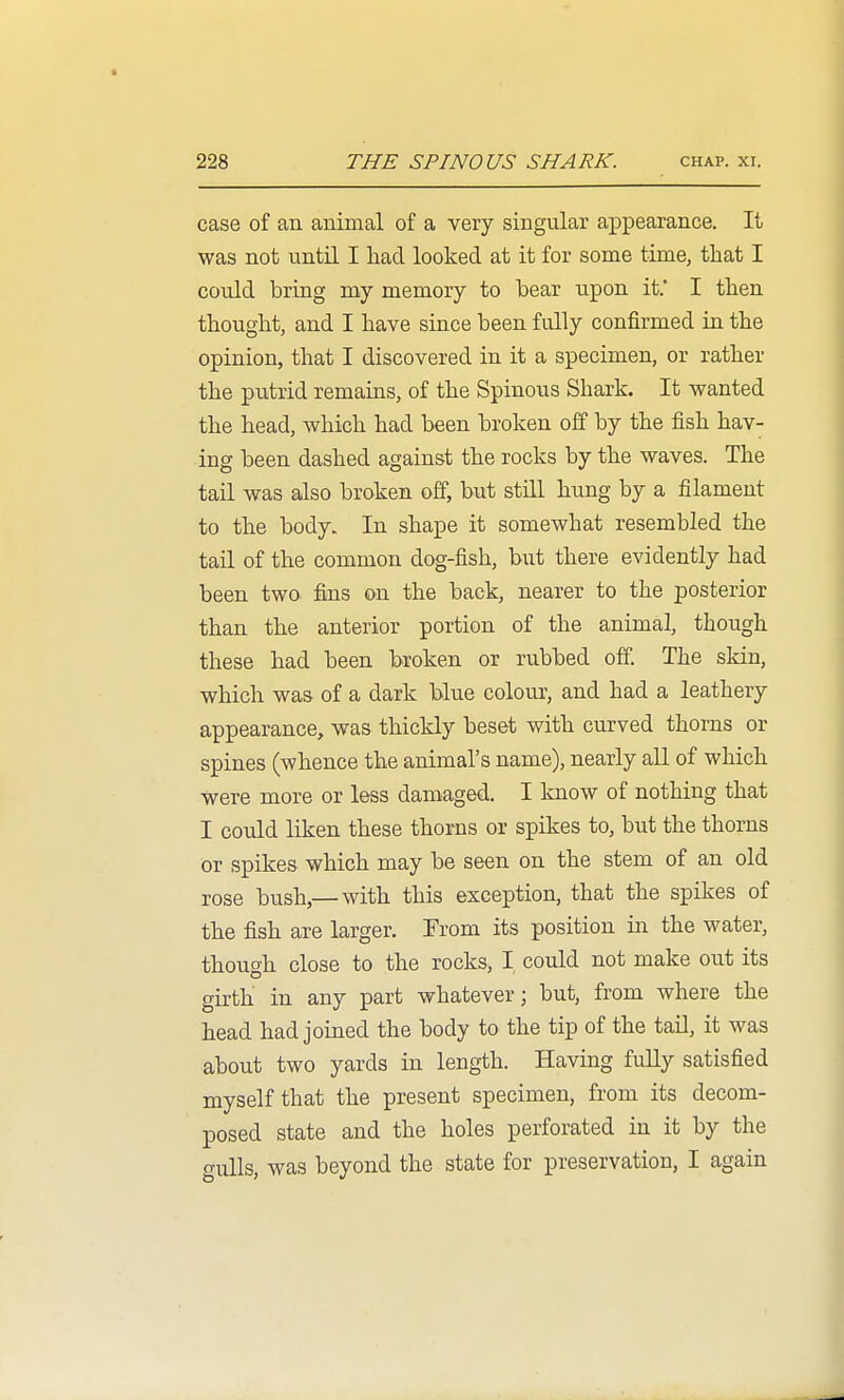 case of an animal of a very singular a^Dpearance. It was not until I had looked at it for some time, that I could bring my memory to bear upon it.' I then thought, and I have since been fully confirmed in the opiuion, that I discovered in it a specimen, or rather the putrid remains, of the Spinous Shark. It wanted the head, which had been broken off by the fish hav- ing been dashed against the rocks by the waves. The tail was also broken off, but still hung by a filament to the body. In shape it somewhat resembled the tan of the common dog-fish, but there evidently had been two fins on the back, nearer to the posterior than the anterior portion of the animal, though these had been broken or rubbed off. The skin, which was of a dark blue colour, and had a leathery appearance, was thickly beset with curved thorns or spines (whence the animal's name), nearly all of which were more or less damaged. I know of nothing that I could liken these thorns or spikes to, but the thorns or spikes which may be seen on the stem of an old rose bush,—with this exception, that the spikes of the fish are larger. From its position in the water, though close to the rocks, I could not make out its girth in any part whatever; but, from where the head had joined the body to the tip of the taU, it was about two yards in length. Having fuUy satisfied myself that the present specimen, from its decom- posed state and the holes perforated in it by the gulls, was beyond the state for preservation, I again