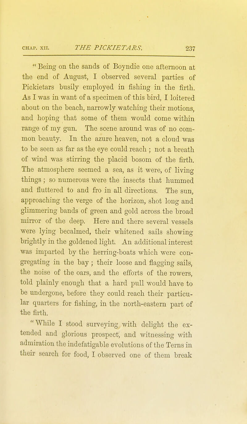  Being on the sands of Boyndie one afternoon at the end of August, I observed several parties of Pickietars busily employed in fishing in the firth. As I was in want of a specimen of this bird, I loitered about on the beach, narrowly watching their motions, and hoping that some of them would come within range of my gun. The scene around was of no com- mon beauty. In the azure heaven, not a cloud was to be seen as far as the eye could reach ; not a breath of wind was stirring the placid bosom of the firth. The atmosphere seemed a sea, as it were, of living things ; so numerous were the insects that hummed and fluttered to and fro in all directions. The sun, approaching the verge of the horizon, shot long and glimmering bands of green and gold across the broad mirror of the deep. Here and there several vessels were lying becalmed, their whitened sails showing brightly in the goldened light. An additional interest was imparted by the herring-boats which were con- gregating in the bay; their loose and flagging sails, the noise of the oars, and the efforts of the rowers, told plainly enough that a hard pull would have to be undergone, before they could reach their particu- lar quarters for fishing, in the north-eastern part of the firth. While I stood surveying with delight the ex- tended and glorious prospect, and witnessing with admiration the indefatigable evolutions of the Terns in their search for food, I observed one of them break
