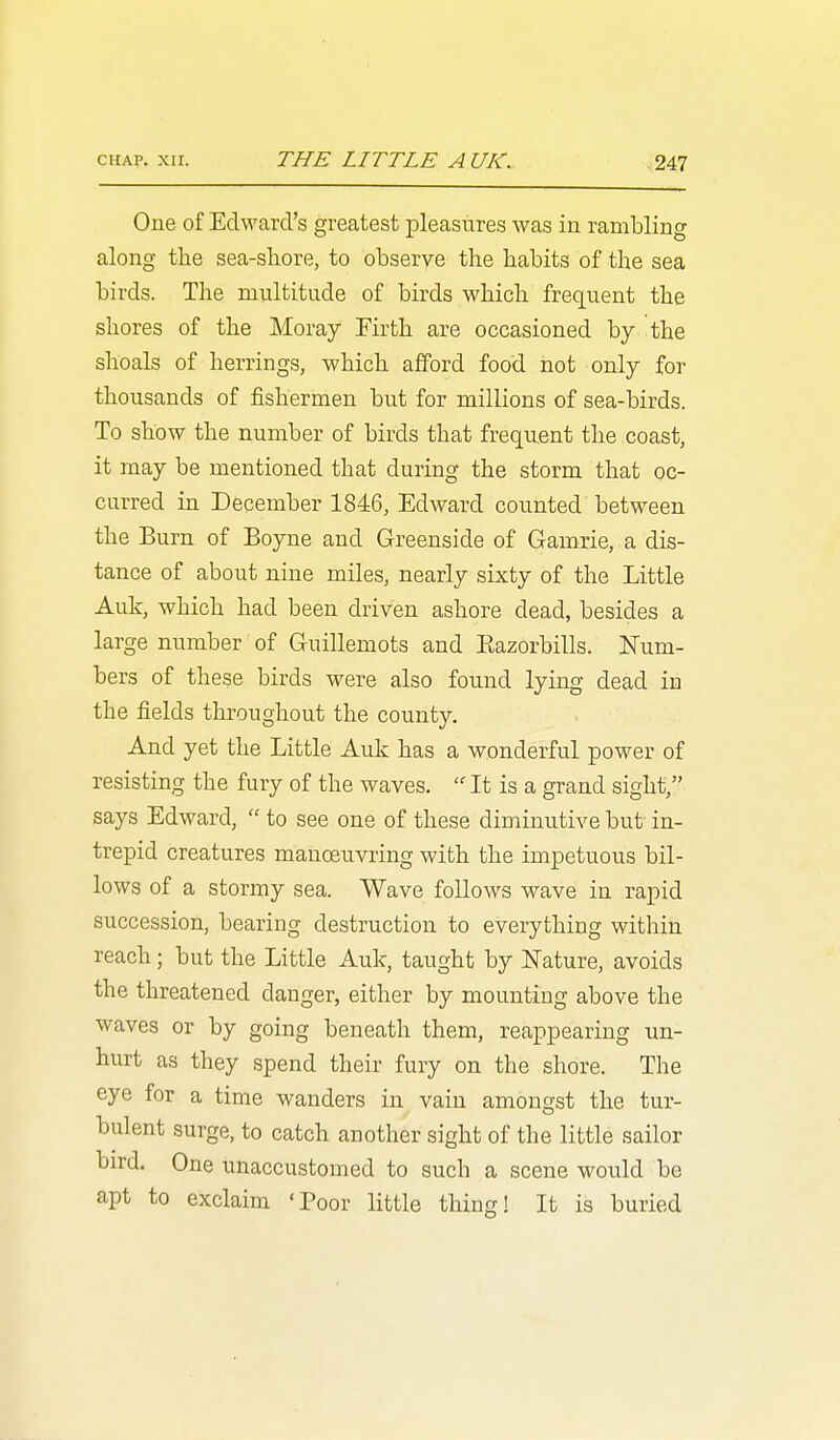 One of Edward's greatest pleasures was in rambling along the sea-sliore, to observe the habits of the sea birds. The multitude of birds which frequent the shores of the Moray Firth are occasioned by the shoals of herrings, which afford food not only for thousands of fishermen but for millions of sea-birds. To show the number of birds that frequent the coast, it may be mentioned that during the storm that oc- curred in December 1846, Edward counted between the Burn of Boyne and Greenside of Gamrie, a dis- tance of about nine miles, nearly sixty of the Little Auk, which had been driven ashore dead, besides a large number of Guillemots and Eazorbills. Num- bers of these birds were also found lying dead in the fields throughout the county. And yet the Little Auk has a wonderful power of resisting the fury of the waves.  It is a grand sight, says Edward,  to see one of these diminutive but in- trepid creatures manoeuvring with the impetuous bil- lows of a stormy sea. Wave follows wave in rapid succession, bearing destruction to everything within reach; but the Little Auk, taught by Nature, avoids the threatened danger, either by mounting above the waves or by going beneath them, reappearing un- hurt as they spend their fury on the shore. The eye for a time wanders in vain amongst the tur- bulent surge, to catch another sight of the little sailor bird. One unaccustomed to such a scene would be apt to exclaim 'Poor little thing! It is buried