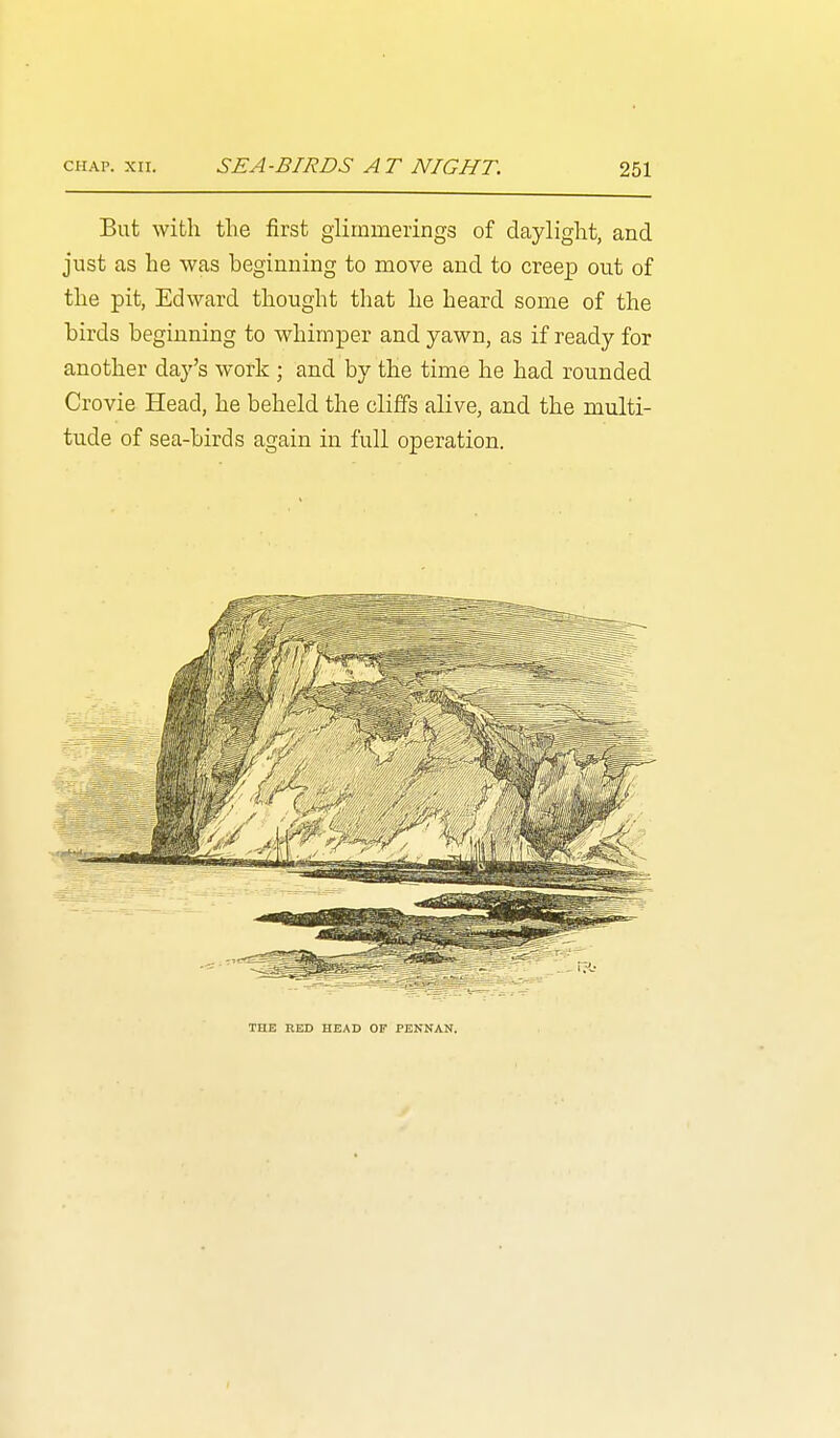 But with the first glimmerings of daylight, and just as he was beginning to move and to creep out of the pit, Edward thought that he heard some of the birds beginning to whimper and yawn, as if ready for another day's work ; and by the time he had rounded Crovie Head, he beheld the cliffs alive, and the multi- tude of sea-birds again in full operation. THE RED HEAD OP PENNAN.