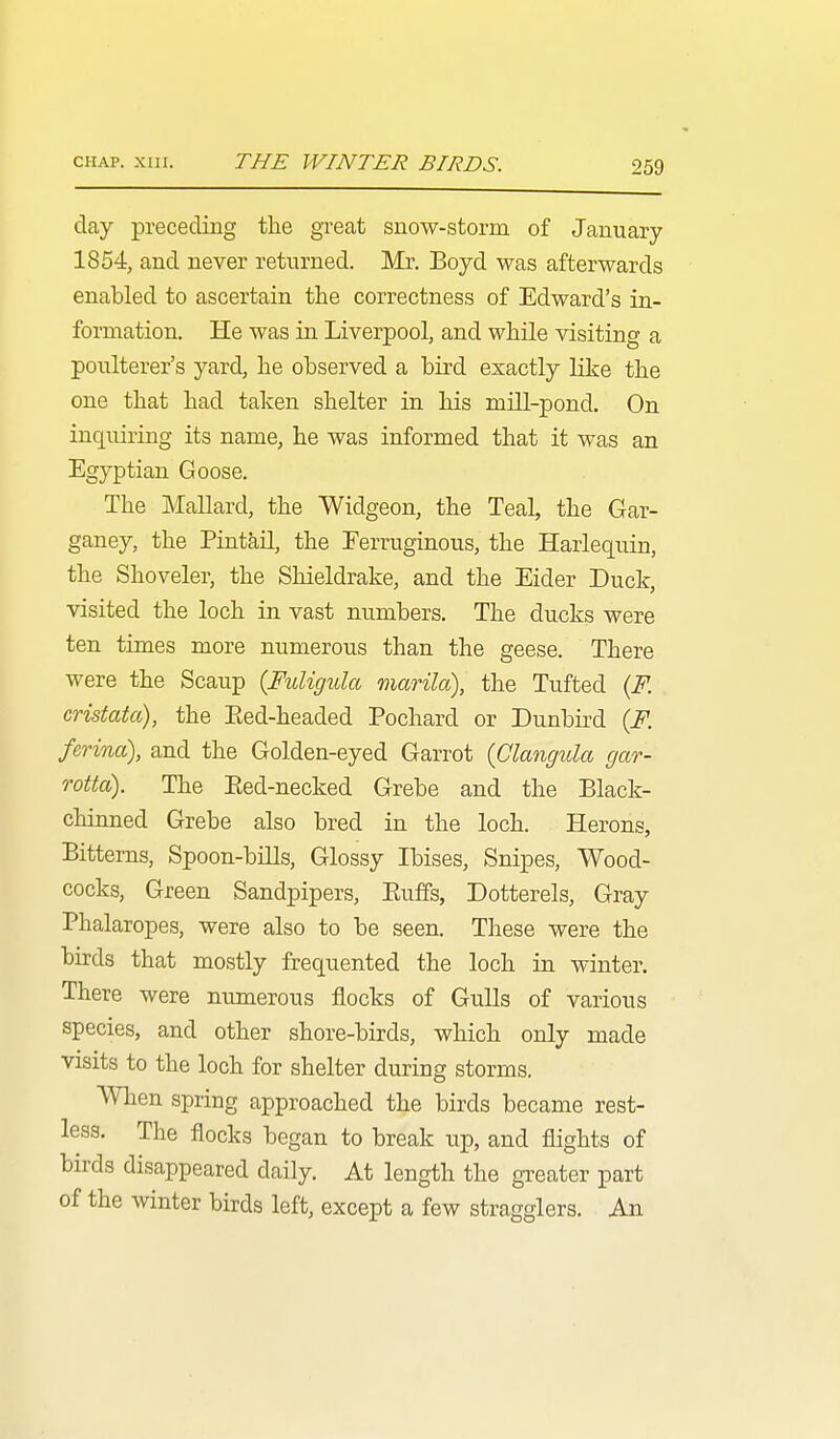 CHAP. XIII. THE WINTER BIRDS. clay preceding the great snow-storm of January 1854, and never returned. Mr. Boyd was afterwards enabled to ascertain the correctness of Edward's in- formation. He was in Liverpool, and while visiting a poulterer's yard, he observed a bird exactly like the one that had taken shelter in his mill-pond. On inquiring its name, he was informed that it was an Egyptian Goose. The Mallard, the Widgeon, the Teal, the Gar- ganey, the Pintail, the Eerruginous, the Harlequin, the Shoveler, the Shieldrake, and the Eider Duck, visited the loch in vast numbers. The ducks were ten times more numerous than the geese. There were the Scaup {Fuligula marila), the Tufted {F. cristata), the Eed-headed Pochard or Dunbird {F. ferina), and the Golden-eyed Garrot {Clangula gar- Totta). The Eed-necked Grebe and the Black- chinned Grebe also bred in the loch. Herons, Bitterns, Spoon-bills, Glossy Ibises, Snipes, Wood- cocks, Green Sandpipers, Euffs, Dotterels, Gray Phalaropes, were also to be seen. These were the birds that mostly frequented the loch in winter. There were numerous flocks of Gulls of various species, and other shore-birds, which only made visits to the loch for shelter during storms. AVlien spring approached the birds became rest- less. The flocks began to break up, and flights of birds disappeared daily. At length the gi-eater part of the winter birds left, except a few stragglers. An