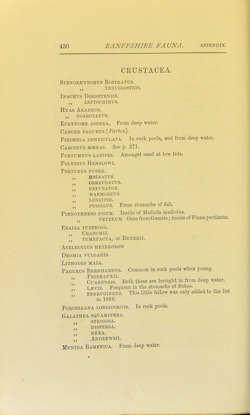 CKUSTACEA. Stenoehthohtts Kostratus, „ tenuieostuis. Inaohtjs Doesetensis. ,, leptoohieus. Hyas Araneus. ,, coarctatus. EoRTNOME aspera. From deep water. Cancer pagurtjs \Tartciii\. PiEiMELA DENTICTJLATA. In rock pools, and from deep water. Carcinus mcenas. See p. 271. PoRTTJMNUS LATIPES. Amongst sand at low tide. POLTBITJS HeNSLOWI. POETUNTTS PUREE. HOLSATUS. COERUGATUS. ,, DEPUEATOR. ,, MARMOREUS. ,, LONGIPES. PUBILLTJS. From stomachs of fisli. Pinnotheres pisum. Inside of Mediola mediolus. J, VETEETJM. Once from Gamrie; inside of Pinna pectinata. Ebalia tubeeosa. ,, Ceanchii. ,, TUMEFACTA, Or BeTEEII. \ Ateleoyltts heteeodon Deomia vulgaris. LiTHOBES MAIA. Pagueus Beenhaedus. Common in rock pools wlien yonng. Peideauxii. , , . ^ CUANENSIS. Both these are brouglit m from deep water.  LiEVis. Frequent in the stomachs of flukes.  FERRUGINEUS. This little fellow was only added to the list in 1866. PORCELLANA LONGICORNIS. In rock pOOls. Galathea squamifera. „ strigosa. dispersa. „ nexa. Andrewsii. MuNiDA Bamffica. From deep water.