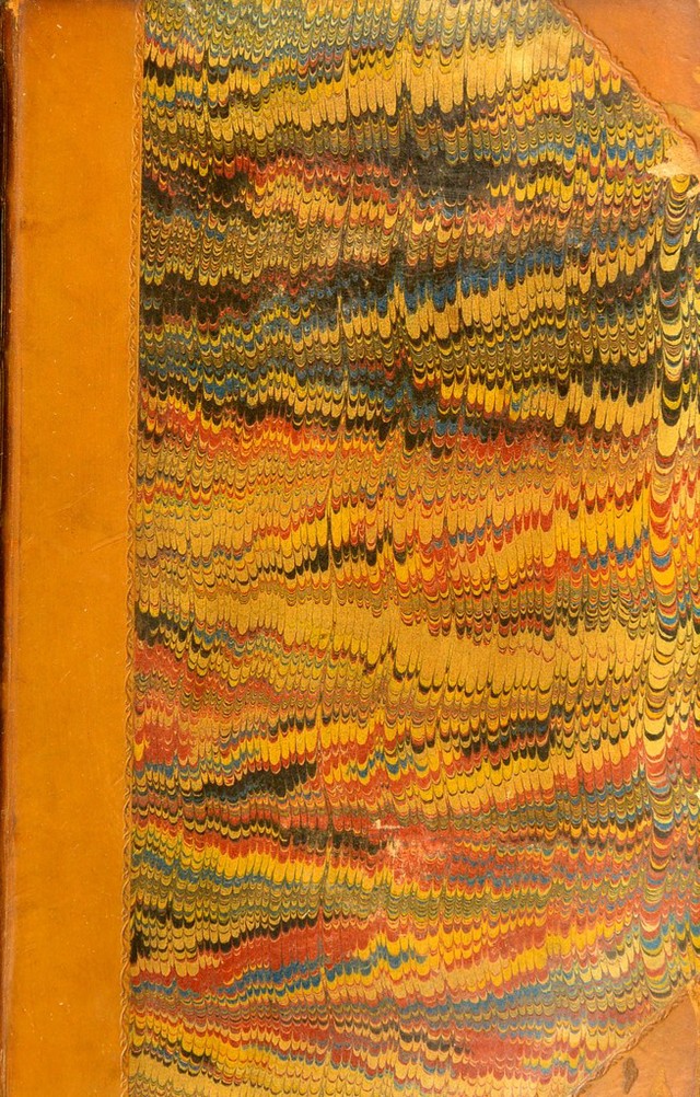 No text description is available for this image