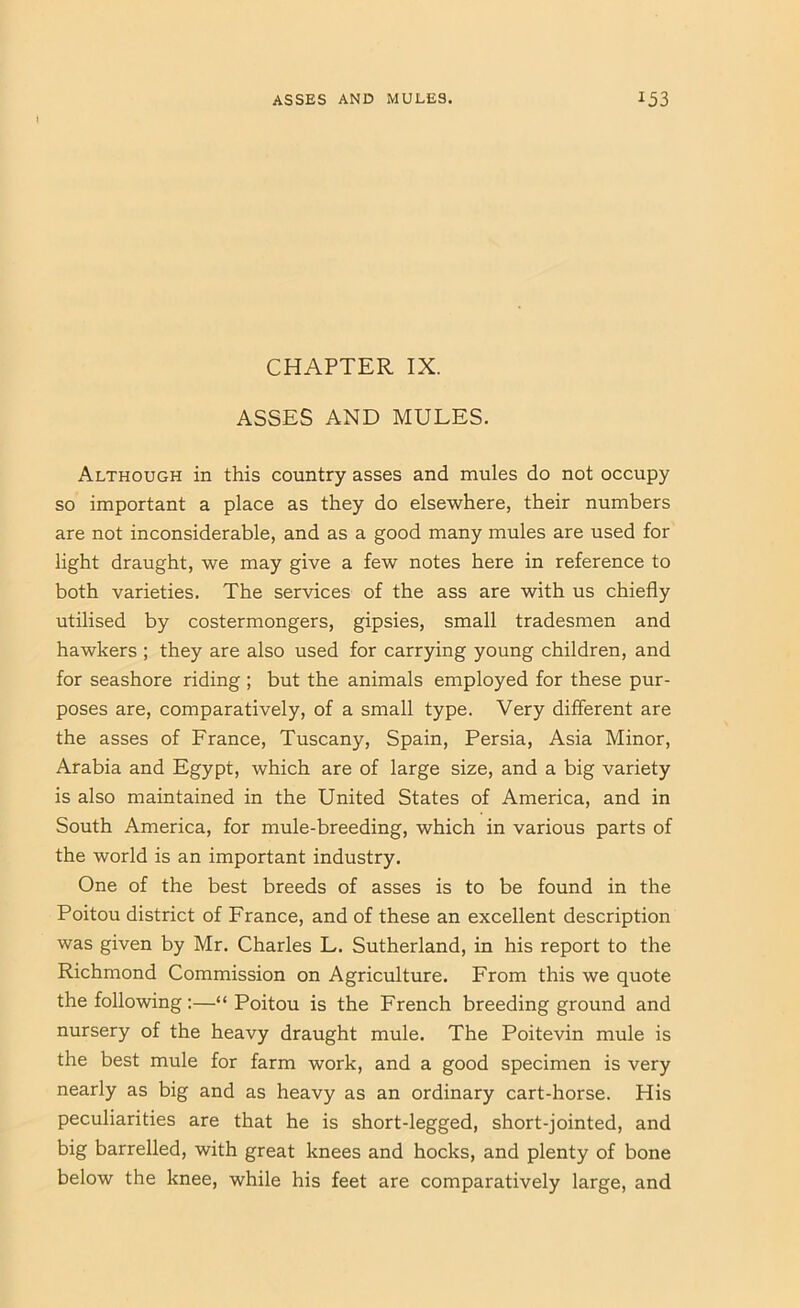 CHAPTER IX. ASSES AND MULES. Although in this country asses and mules do not occupy so important a place as they do elsewhere, their numbers are not inconsiderable, and as a good many mules are used for light draught, we may give a few notes here in reference to both varieties. The services of the ass are with us chiefly utilised by costermongers, gipsies, small tradesmen and hawkers ; they are also used for carrying young children, and for seashore riding ; but the animals employed for these pur- poses are, comparatively, of a small type. Very different are the asses of France, Tuscany, Spain, Persia, Asia Minor, Arabia and Egypt, which are of large size, and a big variety is also maintained in the United States of America, and in South America, for mule-breeding, which in various parts of the world is an important industry. One of the best breeds of asses is to be found in the Poitou district of France, and of these an excellent description was given by Mr. Charles L. Sutherland, in his report to the Richmond Commission on Agriculture. From this we quote the following:—“ Poitou is the French breeding ground and nursery of the heavy draught mule. The Poitevin mule is the best mule for farm work, and a good specimen is very nearly as big and as heavy as an ordinary cart-horse. His peculiarities are that he is short-legged, short-jointed, and big barrelled, with great knees and hocks, and plenty of bone below the knee, while his feet are comparatively large, and