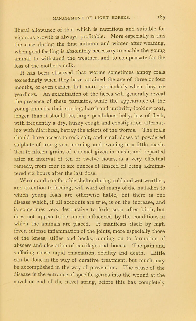 liberal allowance of that which is nutritious and suitable for vigorous growth is always profitable. More especially is this the case during the first autumn and winter after weaning, when good feeding is absolutely necessary to enable the young animal to withstand the weather, and to compensate for the loss of the mother’s milk. It has been observed that worms sometimes annoy foals exceedingly when they have attained the age of three or four months, or even earlier, but more particularly when they are yearlings. An examination of the faeces will generally reveal the presence of these parasites, while the appearance of the young animals, their staring, harsh and unthrifty-looking coat, longer than it should be, large pendulous belly, loss of flesh, with frequently a dry, husky cough and constipation alternat- ing with diarrhoea, betray the effects of the worms. The foals should have access to rock salt, and small doses of powdered sulphate of iron given morning and evening in a little mash. Ten to fifteen grains of calomel given in mash, and repeated after an interval of ten or twelve hours, is a very effectual remedy, from four to six ounces of linseed oil being adminis- tered six hours after the last dose. Warm and comfortable shelter during cold and wet weather, and attention to feeding, will ward off many of the maladies to which young foals are otherwise liable, but there is one disease which, if all accounts are true, is on the increase, and is sometimes very destructive to foals soon after birth, but does not appear to be much influenced by the conditions in which the animals are placed. It manifests itself by high fever, intense inflammation of the joints, more especially those of the knees, stifles and hocks, running on to formation of abscess and ulceration of cartilage and bones. The pain and suffering cause rapid emaciation, debility and death. Little can be done in the way of curative treatment, but much may be accomplished in the way of prevention. The cause of the disease is the entrance of specific germs into the wound at the navel or end of the navel string, before this has completely