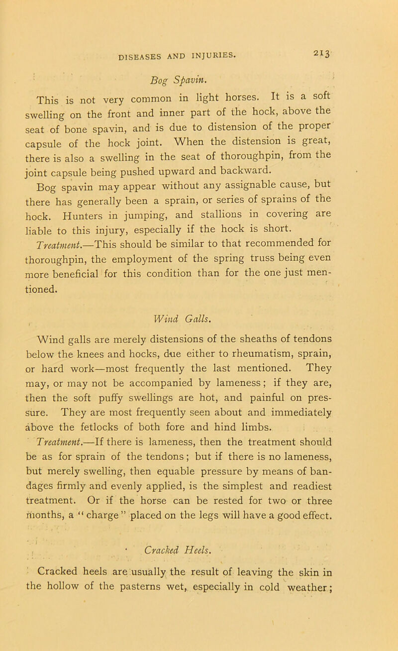 Bog Spavin. This is not very common in light horses. It is a soft swelling on the front and inner part of the hock, above the seat of bone spavin, and is due to distension of the proper capsule of the hock joint. When the distension is great, there is also a swelling in the seat of thoroughpin, from the joint capsule being pushed upward and backward. Bog spavin may appear without any assignable cause, but there has generally been a sprain, or series of sprains of the hock. Hunters in jumping, and stallions in covering are liable to this injury, especially if the hock is short. Treatment.—This should be similar to that recommended for thoroughpin, the employment of the spring truss being even more beneficial for this condition than for the one just men- tioned. Wind Galls. Wind galls are merely distensions of the sheaths of tendons below the knees and hocks, due either to rheumatism, sprain, or hard work—most frequently the last mentioned. They may, or may not be accompanied by lameness; if they are, then the soft puffy swellings are hot, and painful on pres- sure. They are most frequently seen about and immediately above the fetlocks of both fore and hind limbs. Treatment.—If there is lameness, then the treatment should be as for sprain of the tendons; but if there is no lameness, but merely swelling, then equable pressure by means of ban- dages firmly and evenly applied, is the simplest and readiest treatment. Or if the horse can be rested for two or three riionths, a “ charge ” placed on the legs will have a good effect. Cracked Heels. Cracked heels are usually the result of leaving the skin in the hollow of the pasterns wet, especially in cold weather;