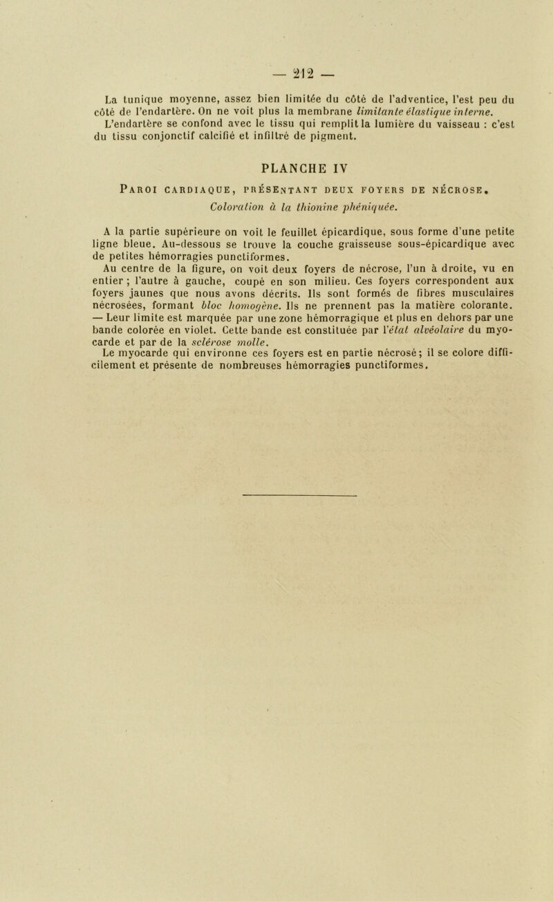 La tunique moyenne, assez bien limitée du côté de l’adventice, l’est peu du côté de l’endartère. On ne voit plus la membrane limitante élastique interne. L’endartère se confond avec le tissu qui remplit la lumière du vaisseau : c’est du tissu conjonctif calcifié et infiltré de pigment. PLANCHE IY Paroi cardiaque, présentant deux foyers de nécrose. Coloration à la thionine phéniquée. A la partie supérieure on voit le feuillet épicardique, sous forme d’une petite ligne bleue. Au-dessous se trouve la couche graisseuse sous-épicardique avec de petites hémorragies punctiformes. Au centre de la figure, on voit deux foyers de nécrose, l’un à droite, vu en entier ; l’autre à gauche, coupé en son milieu. Ces foyers correspondent aux foyers jaunes que nous avons décrits. Ils sont formés de fibres musculaires nécrosées, formant bloc homogène. Us ne prennent pas la matière colorante. — Leur limite est marquée par une zone hémorragique et plus en dehors par une bande colorée en violet. Cette bande est constituée par Y état alvéolaire du myo- carde et par de la sclérose molle. Le myocarde qui environne ces foyers est en partie nécrosé; il se colore diffi- cilement et présente de nombreuses hémorragies punctiformes.