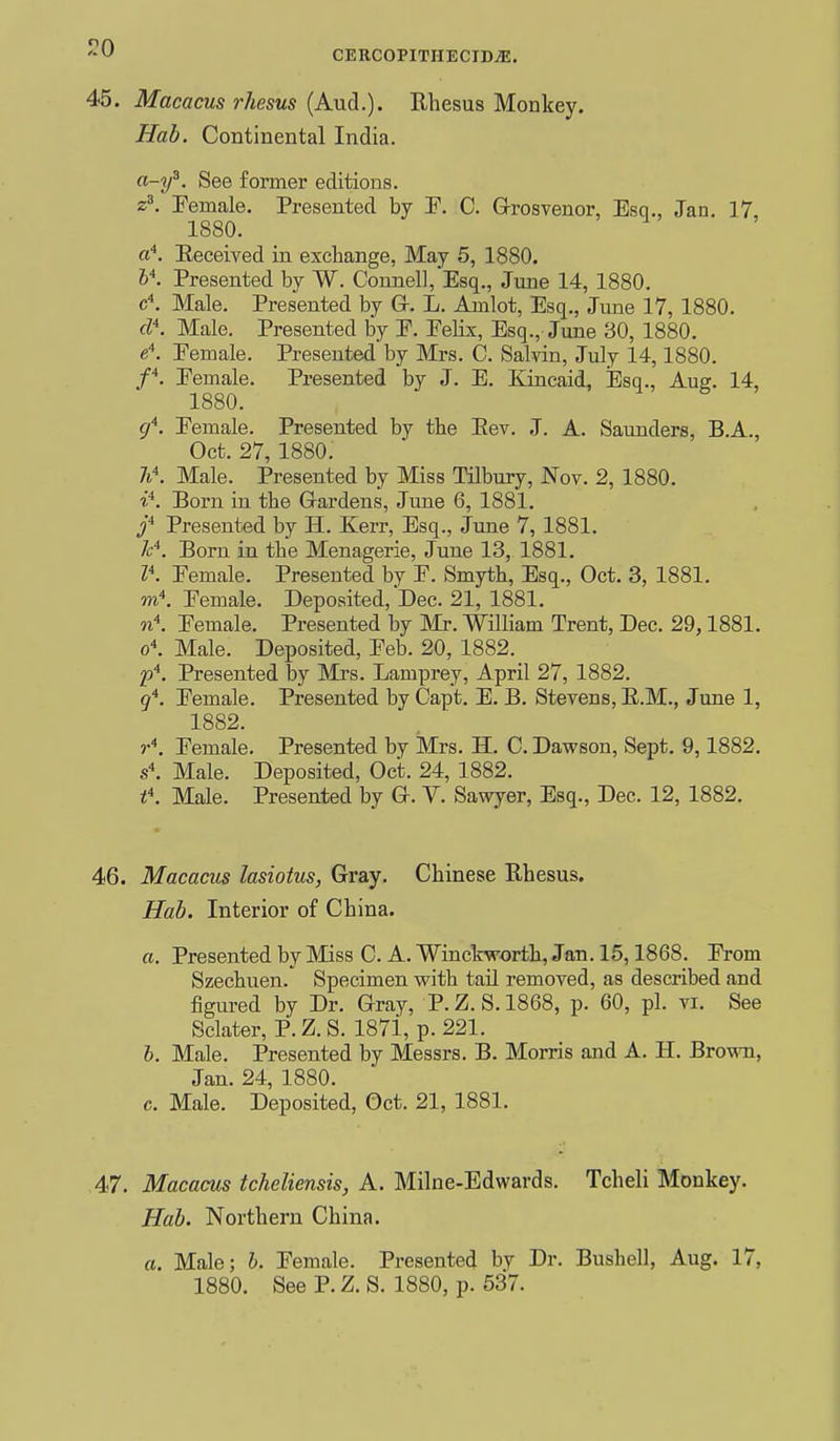 cercopithectd;e. 45. Macacus rhesus (Aud.). Rhesus Monkey. Hab. Continental India. a-y^. See former editions. z^. Female. Presented by P. C. Grrosvenor, Esq., Jan. 17, 1880. a'*. Eeceived in exchange, May 5, 1880. h\ Presented by W. Connell, Esq., June 14, 1880. c*. Male. Presented by G-. L. Amlot, Esq., June 17, 1880. d\ Male. Presented by E. Eelix, Esq., June 30, 1880. e\ Eemale. Presented by Mrs. C. Salvin, July 14,1880. Eemale. Presented by J. E. Kincaid, Esq., Auar. 14, 1880. g*. Eemale. Presented by the Eev. J. A. Saunders, B.A., Oct. 27, 1880. 7i\ Male. Presented by Miss Tilbury, Nov. 2, 1880. i*. Born in the Gardens, June 6, 1881. f Presented by H. Kerr, Esq., June 7, 1881. k*. Born in the Menagerie, June 13, 1881. I*. Eemale. Presented by E. Smyth, Esq., Oct. 3, 1881. m*. Eemale. Deposited, Dec. 21, 1881. n\ Eemale. Presented by Mr. WiUiam Trent, Dec. 29,1881. o\ Male. Deposited, Eeb. 20, 1882. p'^. Presented by Mrs. Lamprey, April 27, 1882. g*. Eemale. Presented by Capt. E. B. Stevens, E.M., June 1, 1882. r\ Eemale. Presented by Mrs. H. 0. Dawson, Sept. 9,1882. s\ Male. Deposited, Oct. 24, 1882. t\ Male. Presented by G. V. Sawyer, Esq., Dec. 12, 1882. 46. Macacus lasiotus, Gray. Chinese E,hesus. Hah. Interior of China. a. Presented by Miss 0. A. Winctworth, Jan. 15,1868. Erom Szechuen. Specimen with tail removed, as described and figured by Dr. Gray, P.Z.S.1868, p. 60, pi. vi. See Sclater, P.Z.S. 187i, p. 221. h. Male. Presented by Messrs. B. Morris and A. H. Brown, Jan. 24, 1880. c. Male. Deposited, Oct. 21, 1881. 47. Macacus tcheliensis, A. Milne-Edwards. Tcheli Monkey. Hab. Northern China. a. Male; h. Eemale. Presented by Dr. Bushell, Aug. 17, 1880. See P. Z. S. 1880, p. 537.