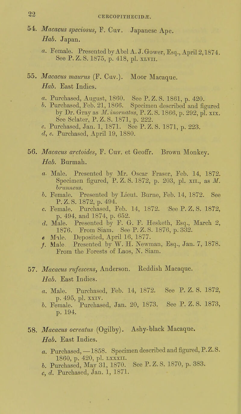 2Z CERCOPITIIECIDiE. 54. Macacus speciosus, F. Cuv. Japanese Ape. Hub. Japan. a. Female. PresentecIbyAbelA.J.Q-ower,Esq.,April2,1874. See P. Z. S. 1875, p. 418, pi. xltii. 55. Macacus maurus (F. Cuv.). Moor Macaque. Hab. East Indies. a. Purchased, August, 1860. See P. Z. S. 1861, p. 420. b. Purchased, Feb. 21,1866. Specimen described and figured by Dr. Gray as M. inornaius, P. Z. S. 1866, p. 292, pi. six. See Sclater, P. Z. S. 1871, p. 222. c. Purchased, Jan. 1, 1871. See P. Z. S. 1871, p. 223. cl, e. Purchased, April 19, 1880. 56. Macacus arctoides, F. Cuv. et Geoffr. Brown Monkey. Hab. Burmah. a. Male. Presented by Mr. Oscar Fraser, Feb. ],4, 1872. Specimen figui-ed, P. Z. S. 1872, p. 203, pi. xri., as M. brunneus. b. Female. Presented by Lieut. Burne, Feb. 14, 1872. See P. Z. S. 1872, p. 494. c. Female. Purchased, Feb. 14, 1872. See P. Z. S. 1872, p. 494. and 1874, p. 652. d. Male. Presented by F. G. F. Hesketh, Esq., March 2, 1876. From Siam. See P. Z. S. 1876, p. 332. e Male. Deposited, April 16, 1877. /. Male. Presented by W. H. Newman, Esq., Jan. 7, 1878. From the Forests of Laos, N. Siam. 57. Macacus rufescens, Anderson. Reddish Macaque. Hab. East Indies. a. Male. Purchased, Feb. 14, 1872. See P. Z. S. 1872, p. 495, pi. XXIV. b. Female. Purchased, Jan. 20, 1873. See P. Z. S. 1873, p. 194. 58. Macacus ocreatus {O^iVoy). Ashy-black Macaque. Hab. East Indies. a. Purchased, —1858. Specimen described and figured, P.Z.S. 1860, p. 420, pi. Lxxxii. b. Purchased, May 31, 1870. See P. Z. S. 1870, p. 383. c. d. Purchased, Jan. 1, 1871.