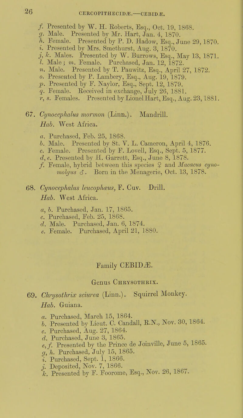 CERCOPITHECIDyE. CEBID^E. /. Presented by W. H. Roberts, Esq., Oct, 19, 1868. g. Male. Presented by Mr. Hart, Jan. 4, 1870. h. Female. Presented by P. D. liadow, Esq., June 29,1870. i. Presented by Mrs. Smethurst, Aug. 3, 1870. j, Ic. Males. Presented by W. Burrows, Esq., May 13, 1871. I. Male; m. Female. Purchased, Jan. 12, 1872. n. Male. Presented by T. Pauwitz, Esq., April 27, 1872. 0. Presented by P. Lambery, Esq., Aug. 19, 1879. p. Presented by F. Naylor, Esq., Sept. 12, 1879. q. Female. Eeceived in exchange, July 26, 1881. r, s. Females. Presented by Lionell-Iart, Esq., Aug. 23,1881. 67. Cynocephalus mormon (Linu.). Mandrill. Hab. West Africa. a. Purchased, Feb. 25, 1868. b. Male. Presented by St. V. L. Cameron, April 4, 1876. c. Female. Presented by F. Lovell, Esq., Sept. 5, 1877. d. e. Presented by H. Grarrett, Esq., June 8, 1878. /. Female, hybrid between this species $ and Macacus cyno- molgus 6. Born in the Menagerie, Oct. 13, 1878. 68. Cynocephalus leucophceus, F. Cuv. Drill. Hab. West Africa. (t, h. Purchased, Jan. 17, 1865. c. Purchased, Feb. 25, 1868. d. Male. Purchased, Jan. 6, 1874. e. Female. Purchased, April 21, 1880. Family CEBIDiE. | Genus Chrysothrix. 69. Chrysothrix sciurea (Lmn.). Squirrel Monkey. Hab. Guiana. j a. Purchased, March 15, 1864. ] b. Presented by Lieut. C. Candall, E.N., Nov. 30,1864. ^ c. Purchased, Aug. 27, 1864. d. Purchased, June 3, 1865. ' e. f. Presented by the Prince de Joinville, June 5, 1865. g, h. Purchased, July 15, 1865. i. Purchased, Sept. 1, 1866. j. Deposited, Nov. 7, 1866. ^ 1 Tc. Presented by F. Foorome, Esq., Nov. 26, 1867. | I i