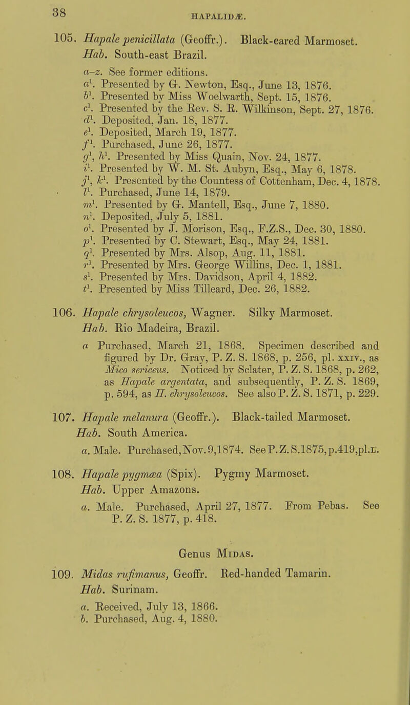 HAPALIUi*;. 105. Hapale jjenicillata {GeoSr.). Black-eared Marmoset. Hab. South-east Brazil. a-z. See former editions. rt'. Presented by Gr. Newton, Esq., June 13, 1876. hK Presented by Miss Woelwarth, Sept. 15, 1876. c\ Presented by the Eev. S. E. Wilkinson, Sept. 27, 1876. d\ Deposited, Jan. 18, 1877. e\ Deposited, March 19, 1877. f\ Purchased, June 26, 1877. g\ h\ Presented by Miss Quain, Nov. 24, 1877. iK Presented by W. M. St. Aubyn, Esq., May 6, 1878. j\ Jc\ Presented by the Countess of Cottenham, Dec. 4,1878. l\ Purchased, June 14, 1879. m\ Presented by Gr. Mantell, Esq., June 7, 1880. Deposited, July 5, 1881. o\ Presented by J. Morison, Esq., F.Z.S., Dec. 30, 1880. p\ Presented by C. Stewart, Esq., May 24, 1881. q\ Presented by Mrs. Alsop, Aug. 11, 1881. r\ Presented by Mrs. George WUhns, Dec. 1, 1881. s\ Presented by Mrs. Davidson, April 4, 1882. t\ Presented by Miss TUleard, Dec. 26, 1882. 106. Hapale chrysoleucos, Wagner. Silky Marmoset. Hab. Rio Madeira, Brazil. ft Purchased, March 21, 1868. Specimen described and figured by Dr. Gray, P. Z. S. 1868, p. 256, pi. xxiv., as Mico sericeus. Noticed by Sclater, P. Z. S. 1868, p. 262, as Hapale argentata, and subsequently, P. Z. S. 1869, p. 594, as H. cJirysoleucos. See also P. Z. S. 1871, p. 229. 107. Hapale melanura (Geoffr.). Black-tailed Marmoset, Hab. South America. a. Male. Purchased,Nov. 9,1874. SeeP.Z.S.1875,p.419,pl.L'. 108. Hapalepyymcca (Spix). Pygmy Marmoset. Hab. Upper Amazons. a. Male. Piu-chased, April 27, 1877. Erom Pebas. See P. Z. S. 1877, p. 418. Genus Midas. 109. Midas mfimanus, GeofFr. Red-handed Tamarin. Hab. Surinam. a. Received, Julv 13, 1866. h. Purchased, Aiig. 4, 1880.