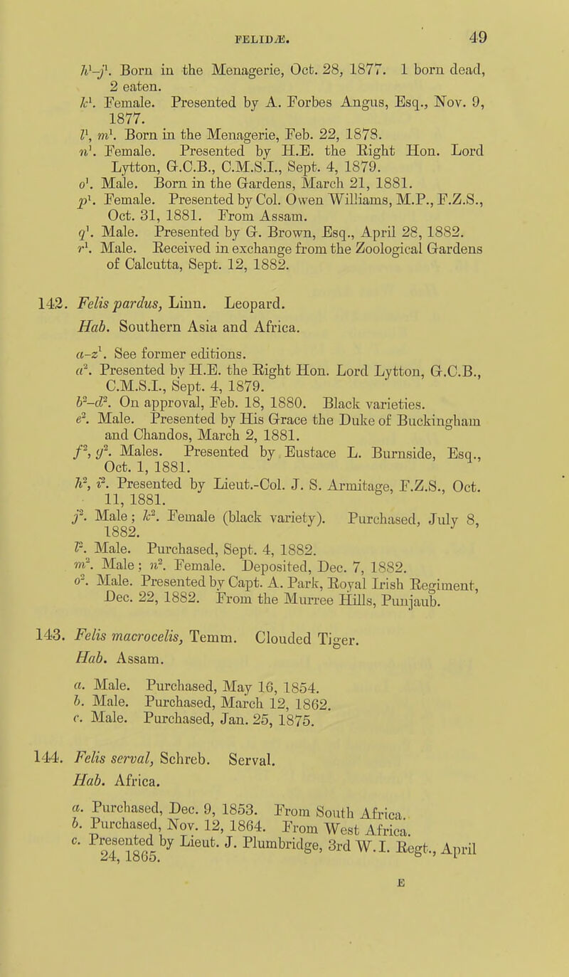 h^-f. Born in the Menagerie, Oct. 28, 1877. 1 born dead, 2 eaten. kK Female. Presented by A. Forbes Angus, Esq., Nov. 9, 1877. l\ niK Born in the Menagerie, Feb. 22, 1878. n\ Female. Presented by H.E. the Eight Hon. Lord Lytton, G.C.B., C.M.S.I., Sept. 4, 1879. o'. Male. Born in the Gardens, March 21, 1881. p\ Female. Presented by Col. Owen Williams, M.P., F.Z.S., Oct. 31, 1881. From Assam. q\ Male. Presented by G-. Brown, Esq., April 28, 1882. »•'. Male. Heceived in exchange from the Zoological Gardens of Calcutta, Sept. 12, 1882. 142. Felispardus, Liun. Leopard. Hab. Southern Asia and Africa. «-z\ See former editions. «^ Presented bv H.E. the Eight Hon. Lord Lytton, G.C.B., C.M.S.L, Sept. 4, 1879. y^-d?. On approval, Feb. 18, 1880. Black varieties. e'. Male. Presented by His Grace the Duke of Buckingham and Chandos, March 2, 1881. f,y^. Males. Presented by Eustace L. Burnside, Esq., Oct. 1, 1881. Presented by Lieut.-Col. J. S. Armitage, F.Z.S., Oct. 11,1881. /. Male; lc\ Female (black variety). Purchased, July 8, 1882. ^ 1-. Male. Purchased, Sept. 4, 1882. m\ Male; n\ Female. Deposited, Dec. 7, 1882. 0-. Male. Presented by Capt. A. Park, Eoyal L-ish Eegiment Dec. 22, 1882. From the Murree Hills, Punjaub. 14-3. Felis macrocelis, Temm. Clouded Tier. Hab. Assam. a. Male. Purchased, May 16, 1854. b. Male. Purchased, March 12, 1862. f. Male. Purchased, Jan. 25, 1875. 144. Felis serval, Schreb. Serval. Hab. Africa. a. Purchased, Dec. 9, 1853. From South Afric b. Purchased, Nov. 12, 1864. From West Afri by Lieut. J. Plumbridge, 3rd W.I. Eegt., April