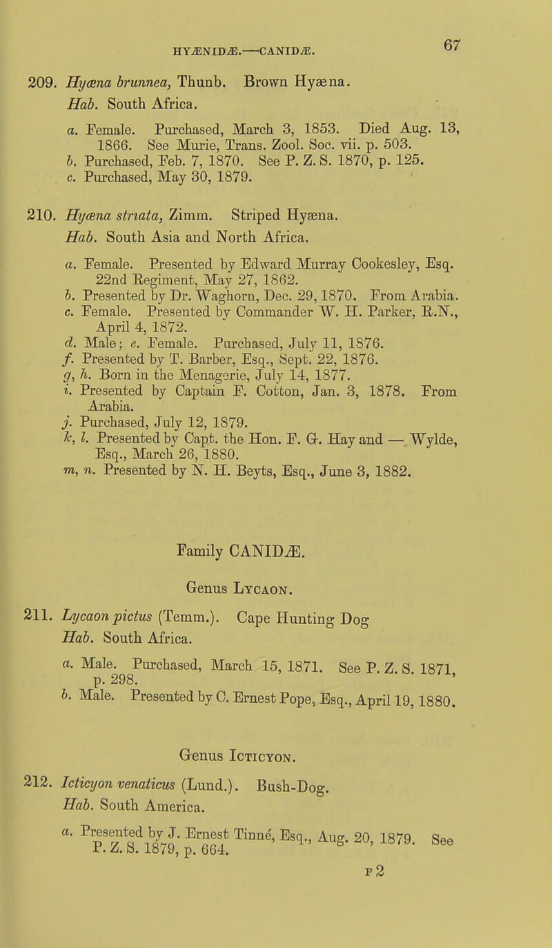 HYiENIDiE. CANIDjE. 309. Hyasna brunnea, Thunb. Brown Hyaena. Hab. South Africa. a. Female. Purchased, March 3, 1853. Died Aug. 13, 1866. See Murie, Trans. Zool. Soc. vii. p. 503. b. Purchased, Feb. 7, 1870. See P. Z. S. 1870, p. 125. c. Purchased, May 30, 1879. 210. Hycena striata, Zimm. Striped Hysena. Hab. South Asia and North Africa. a. Female. Presented by Edward Murray Cookesley, Esq. 22nd Eegiment, May 27, 1862. 6. Presented by Dr. Waghorn, Dec. 29,1870. From Arabia, c. Female. Presented by Commander W. H. Parker, R.N., AprU 4, 1872. cl. Male; e. Female. Purchased, July 11, 1876. /. Presented by T. Barber, Esq., Sept. 22, 1876. g, Ti. Born in the Menagerie, July 14, 1877. i. Presented by Captain F. Cotton, Jan. 3, 1878. From Arabia. i. Purchased, July 12, 1879. Tc, I. Presented by Capt. the Hon. F. Gr. Hay and — Wylde, Esq., March 26, 1880. m, n. Presented by N. H. Beyts, Esq., June 3, 1882. Family CANID^. Genus Lycaon. 211, Lycaonpidus (Temm.). Cape Hunting Dog Hab. South Africa. a. Male. Purchased, March 15, 1871. See P. Z. S. 1871 p. 298. ' b. Male. Presented by C. Ernest Pope, Esq., April 19,1880. Genus Icticyon. 212. Icticyon venaticm ilmndi.). Bush-Dog. Hab. South America. a. Presented by J. Ernest Tinne, Esq., Aug. 20, 1879. See r. Zl. «. 1879, p. 664. f2