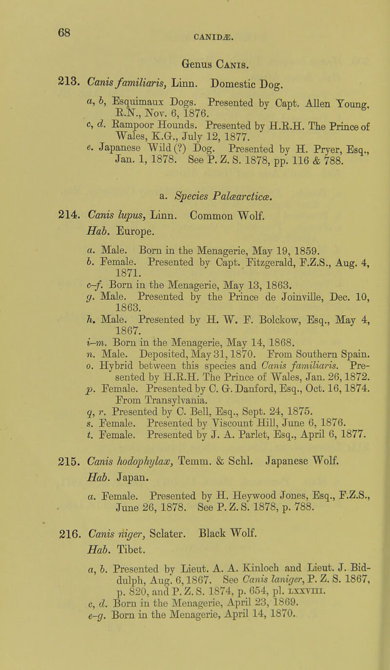 Genus Canis. 213. Canis familiaris, Linn. Domestic Dog. a, h, Esquimaux Dogs. Presented by Capt. Allen Young, E.N., Nov. 6, 1876. ^ c, d. Eampoor Hounds. Presented by H.E.H. The Prince of Wales, K.Q-., July 12, 1877. e. Japanese ■Wild(?) Dog. Presented by H. Pryer, Esq., Jan. 1, 1878. See P. Z. S. 1878, pp. 116 & 788. a. Species Palcearcticcs. 214. Canis lupus. Linn. Common Wolf. Hah. Europe. a. Male. Born in the Menagerie, May 19, 1859. h. Female. Presented by Capt. Pitzgerald, F.Z.S., Aug. 4, 1871. c-/. Born in the Menagerie, May 13, 1863. g. Male. Presented by the Prince de Joinville, Dec. 10, 1863. h. Male. Presented by H. W. P. Bolckow, Esq., May 4, 1867. i-m. Born in the Menagerie, May 14, 1868. n. Male. Deposited, May 31,1870. From Southern Spain. 0. Hybrid between this species and Canis familiaris. Pre- sented by H.E.H. The Prince of Wales, Jan. 26,1872. p. Female. Presented by 0. G. Danford, Esq., Oct. 16,1874. From Transylvania. q, r. Presented by C. Bell, Esq., Sept. 24, 1875. s. Female. Presented by Viscount Hill, June 6, 1876. t. Female. Presented by J. A. Parlet, Esq., April 6, 1877. 215. Canis hodophjlax, Temm. & Schl. Japanese Wolf. Hab. Japan. a. Female. Presented by H. Heywood Jones, Esq., F.Z.S., June 26, 1878. See P. Z. S. 1878, p. 788. 316. Canis rtiger, Sclater. Black Wolf. Hab. Tibet. o, 6. Presented by Lieut. A. A. Kinloch and Lieut. J. Bid- dulph, Aug. 6,1867. See Canis laniger, P. Z. S. 1867, p. 820, and P. Z. S. 1874, p. 654, pi. Lxxvm. c, d. Born in the Menagerie, April 23, 1869. e-g. Born in the Menagerie, April 14, 1870.