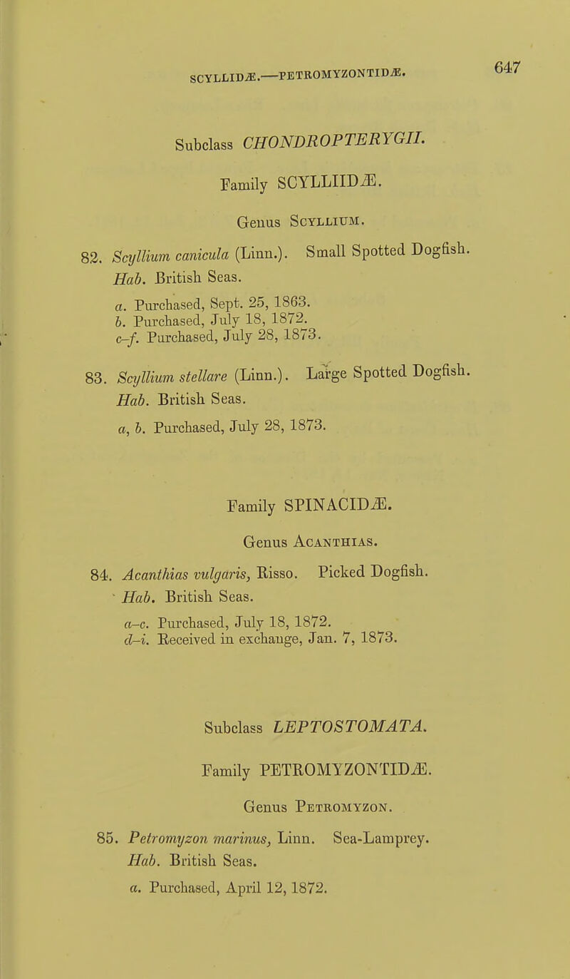 SCYLLID^. PETROMYZONTIDiE. Subclass CHONDROPTERYGIL Family SCYLLIIDiE. Genus Scyllium. 83. Sajllium canicula (Linn.). Small Spotted DogI Hab. Britisli Seas. a. Purchased, Sept. 25, 1863. b. Purchased, July 18, 1872. c-f. Purchased, July 28, 1873. 83. Scyllium stellare (Lima.). Lal-ge Spotted Dogi Hab. Britisli Seas. a, b. Purchased, July 28, 1873. Family SPINACIDiE. Genus Acanthi as. 84. Acanthias vulgaris, Risso. Picked Dogfish. ■ Hab. Britisli Seas. a-c. Purchased, July 18, 1872. d-i. Eeceived in exchauge, Jan. 7, 1873. Subclass LEPTOSTOMATA. Family PETROMYZONTIDiE. Genus Petromyzon. 85. Petromyzon marinus, Linn. Sea-Lamprey. Hab. British Seas. a. Purchased, April 12,1872.