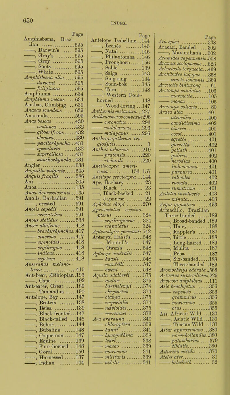 DfDEX. Page Amphisbffina, Brazi- lian 595 , Darwin's 595 , Gray's 695 , Grey 595 , Sooty 695 , White 595 Amphisbcena alba 695 darwini 595 fu liginosa 595 Aniphiuma 634 Amphiuma means ... 634 Anabas, Climbing ...639 Anahas scaiidens 639 Anaconda 599 Anas boscas 430 ■ castanea 432 ' gibberifrons 432 obscura 430 poecilorhyncha... 431 specularis 432 superciliosa 431 • xantkorkgncka...431 Angler 638 Anguilla vulgaris 645 Anguis fragilis 586 Ani 305 Anoa 135 Anoa depressicornis...135 Anolis, Barbadian ...591 , crested 691 Anolis cepedii 691 cristatellus 591 Anotis stolidus 538 Anser albifrons 418 brachyrhynchiis.AYl cinereus 417 cygnoides 418 erythropus 418 indicus 418 segetum 418 Anseranas melano- letcca 415 Ant-bear, jEthiopian.193 , Cape 192 Ant-eater, Great 189 , Tamandua 190 Antelope, Bay 147 , Beatrix 138 , Beisa 139 , Black-fronted... 147 , Black-tailed ...145 , Bohor 144 , Bubaline 148 , Coquetoon 147 , Equine 139 , Four-horned ...148 , Goral 150 , Harnessed 137 , Indian 144 Page Antelope, I8abelline...l44 , Leehee 145 , Natal 146 , Philantomba ...146 , Pronghorn 156 , Sable 139 , Saiga 143 , Sing-sing 144 , Stein-bok 145 , Tora 148 , Western Poiir- horned 148 , Wood-loving ...147 Anthomis melanura...221 Anthracooeros Gonvexus2QQ ■ coronatus 296 malabaricus 296 malayanus 296 Anthropopithecus tro- glodytes 1 Anthus arboreus 219 pratensis 220 • ■ richardi 220 Antilocapra ameri- cana 156, 157 Antilope cervicapra ...144 Ape, Barbary 23 , Black 23 , Black-backed ... 21 , Japanese 22 Aphobus chopi 270 Aprosmictus coccino- pterus 324 erythroptenis ... 324 ■ • scapulatus 324 Aptenodyfes pennanti.f)42 Apteryx, Haast's 548 .Mantell's 547 , Owen's 548 Apteryx aiistralis 547 kaasti 648 mantelli 647 oweni 548 Aqiiila adalberti 376 audax 375 barthelemyi 374 chrysaetus 374 clanga 375 imperialis 374 nmvioides. 375 verreauxi 376 Ara ararauna 340 chloroptera 339 hahni 341 hyacynihina ...338 Icari 338 macao 339 maracana 341 militaris 339 nobilis 341 A ■ ■ ^^^^ Ara spixt jjyy Aracari, Banded 302 , Maximilian's ...302 Aramides cayennensis .508 Aramus scolopaceus ...523 Arboricola iorc/tieola.. .469 Archibuteo lagopus ...368 sancti-johannis ..369 Arctictis binturong ... 61 Arctomys caudaius ...106 marmotta 105 monax 106 Arctonyx coUaris 80 Ardea alba 401 atricollis 400 candidissima ...402 ■ cinerea 400 cocci 401 —— egretta 401 garzetta 402 goliath 401 gularis 402 ■ herodias 400 ludoviciana 401 purpurea 401 ralloides 402 russata 402 sumatrana 401 Ardetta involucris ...403 minuta 403 Argus giganteus 493 ArmadUlo, Brazilian Three-banded 189 , Broad-banded ..189 , Hairy 188 , Kappler's 187 , Little 188 , Long-haired ...189 , Mulita 187 , Peba 187 ■ Six-banded 188 , Three-banded ..189 Aromochelys odorata ..568 Artamus sttperciliosus.225 Arvicola amphibius ...111 Asio brachyotus 356 capensis 356 graminictts 356 mexicanus 355 otus 355 Ass, African Wild ...130 , Asiatic Wild ...130 , Tibetan Wild... 131 Astur apprcvimam ...380 7iov(g-hollaiidics..3SO palumbarim 379 tibialis 380 Adurirta nitida 370 Afelcs ater 31 belzebufh 32