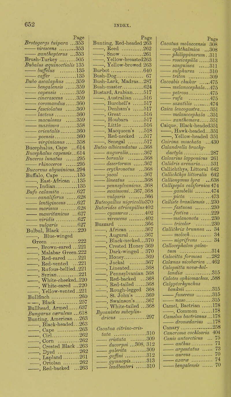 Page Brotogerrjs tmpara ...353 virescens 353 xanthopterus ...353 Brush-Turkey 505 Bubalus mquinoctialis 135 buffelus 135 caffer 135 Bubo ascalaphus 359 bengalensis 359 capeiisis 359 cinerascens 359 coromandus 360 fasciolatus 360 lacteus 360 maculosus 359 maximvs 358 orientalis 360 poensis 360 virginianus 358 Bucephalus, Cape ...614 Bucephalus capensis.. Buceros lunatus 295 rhinoceros 295 Bucorvus abi/ssimcus..294: Buffalo, Cape 135 , East-African ...135 , Indian 135 Bufo calamif.a 627 canaliferus 628 lentiginosus 627 niarinus 628 mauritanicus ...627 viridis 627 vulgaris 627 Bulbul, Black 220 , Blue-winged Grreen 222 , Brown-eared ...221 , Malabar Green.222 , Red-eared 221 , Bed-vented ...221 , Rufous-bellied..221 , Syrian 221 , White-cheeked..220 , White-eared ...220 , YeUow-vented ..221 Bullfinch 260 , Black 257 Bullhead, Armed 637 Bun gar us cter ulcus ...618 Bunting, American ...263 , Black-headed...263 , Cape 263 . Cirl 262 ;Corn 262 , Crested Black ..263 , Dyed 262 , Lapland 261 , Ortolan 262 .Red-backed ...263 Page Bunting, Red-headed 263 , Reed 262 , Snow 261 •, Yellow-breasted263 , Yellow-browed 263 Burbot 640 Bush-Dog 67 Bush-Lark, Madras...287 Bush-master 624 Bustard, Arabian 517 , Australian 516 , Biu-chell's 517 , Denham's 517 , Great 516 , Houbara 517 , Little 516 , Macqueen's ...518 , Red-necked ...517 , Senegal 517 Buteo albicaudatus ...368 auguralis 367 borealis 368 desertorum 367 eryihronotus ...368 jacal 367 lineaius 368 pennsi/lvanicus. .368 swainso7ii...3&I, 368 vulgaris 366 Buteogallus nigricollisSlO Butorides atricapillus 402 cyanurus 402 virescens 402 Buzzard 366 , African 367 , Augural 367 , Black-necked...370 , Crested Honey 369 , Dark-winged .. 370 , Honey 369 , Jackal 367 , Lineated 368 , Pennsj'lvanian 368 , Red-backed ...368 , Red-tailed 368 ——, Rough-legged 368 , St. John's 369 , Swainson's 367 , White-tailed ...368 Bycanisfes subcylin- dricus 297 Cacatua oitrino-cris- tata .310 cristata 309 ducorpsi ...308, 312 galerita 309 goffini 312 gymnopis..., 313 leadbeateri 310 Page Cacatua moluccensis 308 ophthalmica ...308 philippinarum ..311 roseicapilla 313 sanguinea 311 sulphurea 310 triton 309 Caccabis chulcar 475 melanocephala.. .475 petrosa 475 rufa 475 saxatilis 474 Caica Icucogastra 351 melanocephala ..351 xanthomera 351 Caique, Black-headed351 , Hawk-headed.. .351 , Yellow-headed 351 Cairina moschata ...430 Calandrella brachy- dactyla 287 Calcarius lapponicus 261 Calidris arenaria 531 Callichthys, Littoral 642 Callichthys littoralis 642 Callionymus lyra ...638 Gallipepla californica 474 gambelii 474 picta ...473 Calliste brasiliensis .. .230 fastuosa 230 festiva 229 melanonota 230 tricolor 230 Gallithrix brunnea ... 34 moloch 34 nigrifrons 34 Callocephalon galea- tum 314 Calocittaformosa ...282 Calcenas nicobarica ...462 Calopsitta novm-hol- landim 315 Calotes ophiomachtts. .588 Calyptorhynchus banksii 315 funereus 315 naso 315 Camel, Bactrian 178 , Common 178 Camelus bactrianus... 178 dromedarius ...178 Canary 258 Cancroma cochlcaria, 4 Canis antarcticus ... 7 . anthus argentatus 73 aurem 70 azar(B 74 bengalensis 7