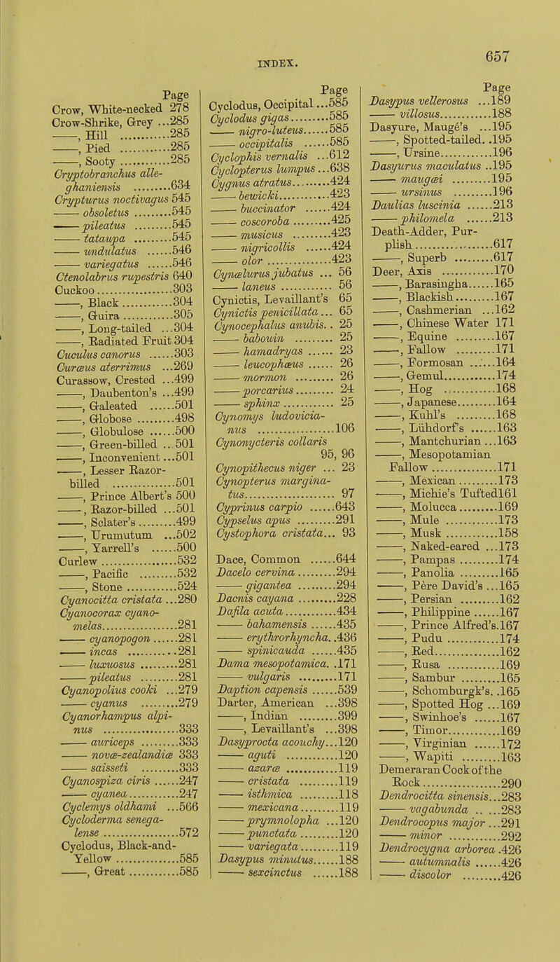 Page 1 Crow, White-necked 278 Crow-Shrike, Grey ...285 , Hill 285 , Pied 285 , Sooty 285 Cryptobranchus alle- ghaniensis 634 Crypturus noctivagus 545 obsoletus 545 ■ pileatus 545 tataupa 545 undulatus 546 variegatus 546 Ctenolabrus rupestris 640 Cuckoo 303 , Black 304 , Guira 305 . , Long-tailed ...304 , Eadiated Fruit 304 Cuculus canorus 303 Cur (BUS aterrimus ...269 Curassow, Crested ...499 , Daubenton's ...499 , Galeated 501 , Globose 498 , Globulose 500 , Green-biUed ...501 , Inconvenient ...501 , Lesser Eazor- billed 501 , Prince Albert's 500 ,Eazor-biUed ...501 , Sclater's 499 . , TJrumxitum ...502 , Yarrell's 500 Curlew 532 .Pacific 532 , Stone 524 Cyanocitta cristata ...280 Cyanocorax cyano- melas 281 — cyanopogon 281 — incas 281 luxxtasus 281 pileatus 281 Cyanopolim cooki ...279 cyanus 279 Cyanorhampus alpi- nus 333 auriceps 333 nov(B-zealandi(B 333 saisseti 333 Cyanospiza oiris 247 cyanea 247 Cyclemys oldhami ...566 Cycloderma senega- lense 572 Cyclodus, Black-and- Yellow 585 , Great 585 Page Cyclodus, Occipital ...585 Cyclodus gigas 585 nigro-luteus 585 occipitalis 585 Cyclophis vernalis .. .612 Cyclopterus lumpus ...G38 Cygnus atratus 424 bewicki 423 buccinator 424 coscoroba 425 musicus 423 nigricollis 424 olor 423 Cyiialurusjubatiis ... 56 laneus 56 Cyniotis, Levaillant's 65 Cynictis pmicillata... 65 Cynocephalus anubis.. 25 babouin 25 hamadryas 23 leucophceus 26 mormon ... 26 porcanus 24 sphinx 25 Cynomys ludovicia- mis 106 Cvnonvcteris collaris 95, 96 Cynopitheous niger ... 23 Cynopterus margina- tus 97 Cypi-inus carpio 643 Cypselus apws 291 Cystophora cristata... 93 Dace, Common 644 JDacelo cervina 294 gigantea 294 Bacnis cay ana 228 Dafila acuta 434 . ■ bahamensis 435 eryihrorhyncha. .436 spinicauda 435 Dama mesopotamica. .171 vulgaris 171 Daption capensis 539 Darter, American ...398 , Indian 399 , Levaillant's ...398 Dasyprocta acouclty...120 aguii 120 azarm 119 cristata 119 isthmica 118 mexicana 119 prymnolopha ...120 punctata 120 variegata 119 Dasypus minutus 188 sexcinctus 188 Page Dasypus vellerosus ... 189 villosus 188 Dasyure, Mange's ...195 , Spotted-tailed. .195 , Ursine 196 JDasyurus maculatus ..195 maiigcei 195 ur sinus 196 Daulias hiscinia 213 philomela 213 Death-Adder, Pur- plish 617 , Superb 617 Deer, Axis 170 , Barasiugha 165 , Blackish 167 . , Cashmerian ...162 , Chinese Water 171 , Equine 167 , Fallow 171 , Formosan ......164 , Gemul 174 , Hog ., 168 , Japanese 164 , Kuhl's 168 , Liihdorfs 168 , Mantchurian ...163 , Mesopotamian Fallow 171 , Mexican 173 , Michie's Tultedl61 , Molucca 169 , Mule 173 , Musk 158 , Naked-eared ...173 , Pampas 174 , Panolia 165 , Pere David's...165 , Persian 162 , Philippine 167 , Prince Alfred's. 167 , Pudu 174 . , Eed 162 , Eusa 169 , Sambur 165 , Schomburgk's. .165 , Spotted Hog ...169 , Swinhoe's 167 , Timor 169 , Virginian 172 , Wapiti 163 Demeraran Cook of the Eock 290 Dendrooitta sinensis...283 vagabunda 283 Dendrocopus major ...291 minor 292 Dendrocygna arborea .426 autumnalis 426 discolor 426
