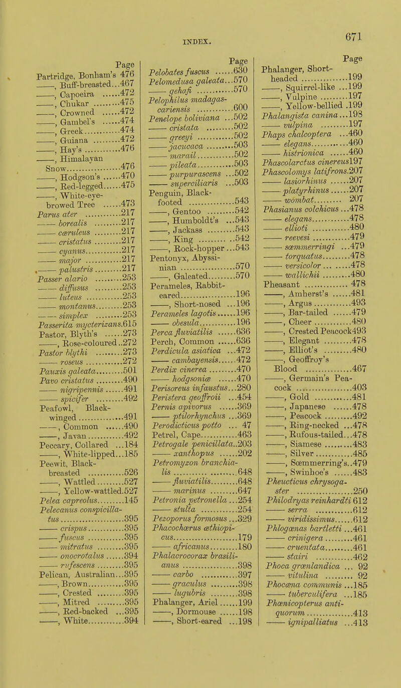 Page Partridge, Bonhain's 476 , Buff-breasted...467 , Oapoeira 472 , Chukar 475 , Crowned 472 , Gambel's 474 , Greek 474 , Guiana 472 , Hay'a 476 , Himalavan Snow .' 476 , Hodgson's 470 , Red-legged 475 , White-eye- browed Tree 473 Partts ater 217 borealis 217 cmruleus 217 cristatus 217 cyaniis 217 major 217 , paliistris 217 Passer alario 253 diffusus 253 lutetis 253 montaiius 253 simplex 253 Passerita myoterizans.&lb Pastor, Blyth's 273 , Eose-coloured ..272 Pastor hlythi 273 roseus 272 Pattxis galeata 501 Pavo mstatus 490 —— niffripennis 491 spicifer 492 Peafowl, Black- winged 491 , Common 490 , Jayan 492 Peccary, Collared ...184 , White-lipped...185 Peewit, Black- breasted 526 , Wattled 527 , Yellow-wattled.527 Pelea capreolus 145 Pelecanus conspicilla- tus 395 crispus 395 fusGus 395 mitratus 395 onocrotalus 394 riifescens 395 Pelican, Australian...395 , Brown 395 , Crested 395 , Mitred 395 , Eed-backed ... 395 , White 394 Page Pelobates fuscus 630 Pelomedusa galeata...570 ffehafi 570 Pelophilus madagas- cariensis 600 Penelope holiviana ...502 cristata 502 greeyi 502 jacucaca 503 mar ail 502 pileata 503 purpurascens .. .502 superciliaris ...503 Penguin, Black- footed 543 , Gentoo 542 , Humboldt's ...543 , Jackass 543 .King 542 , Eock-hopper ...543 Pentonyx, Abyssi- nian 570 , Galeated 570 Perameles, Rabbit- eared 196 , Short-nosed ...196 Perameles lagotis 196 ohesida 196 Perca fluviatilis 636 Perch, Common 636 Perdicula asiatioa ...472 camhayensis 472 Perdix cinerea 470 hodgsonim 470 Perisoreus infattstits...280 Peristera geoffroii .. .454 Peniis apivorus 369 ptilorhynchus .. .369 Perodicticuspotto ... Al Petrel, Cape 463 Petrogale penicillaia..20S xanihopus 202 Petromyzon branchia- lis 648 fluviatilis 648 marinus 647 Petronia petronella .. .254 siulia 254 Pezoporus formosus.. .329 Phacochxrus mthiopi- cus 179 afiicanus 180 Phalacrocorax brasili- anus 398 carbo 397 graculus 398 lugubris 398 Phalanger, Ariel 199 , Dormouse 198 , Short-eared ...198 Page Phalanger, Short- headed 199 , Squirrel-like ...199 , Vulpine 197 , Yellow-bellied .199 Phalangista canina... 193 vulpina 197 Phaps chalcoptera .. .460 elegans 460 histrionica 460 Phascolarctus cinereusldl Phascolomys latifrons.201 lasiorhimcs 207 platyrhinus 207 wombat 207 Phasianus colchiciis .. .478 elegans 478 ellioti 480 reevesi 479 satmnnerringi ...479 torquattis 478 versicolor 478 wallichii 480 Pheasant 478 , Amherst's 481 , Argus 493 , Bar-tailed 479 , Cheer 480 , Crested Peacoek493 , Elegant 478 .Elliot's 480 , Geoifroy's Blood 467 , Germain's Pea- cock 403 .Gold 481 , Japanese 478 , Peacock 492 , Eing-necked ...478 , Rufous-tailed.. .478 , Siamese 483 , Silver 485 , S(Bmmerring's..479 , Swinhoe's 483 Pheucticus chrysoga- ster . 250 Philodryas reinhardti 612 serra 612 viridissimiis 612 Phlogmnas bartletti ...461 crinigera 461 cruentata 461 stairi 462 Phoca groenlandica ... 92 vitulina 92 Phoc<mia cofnmimis ...185 tuberctdifera ...185 Phmnicopteriis anti- quorum 413 ignipalUatus .. .413