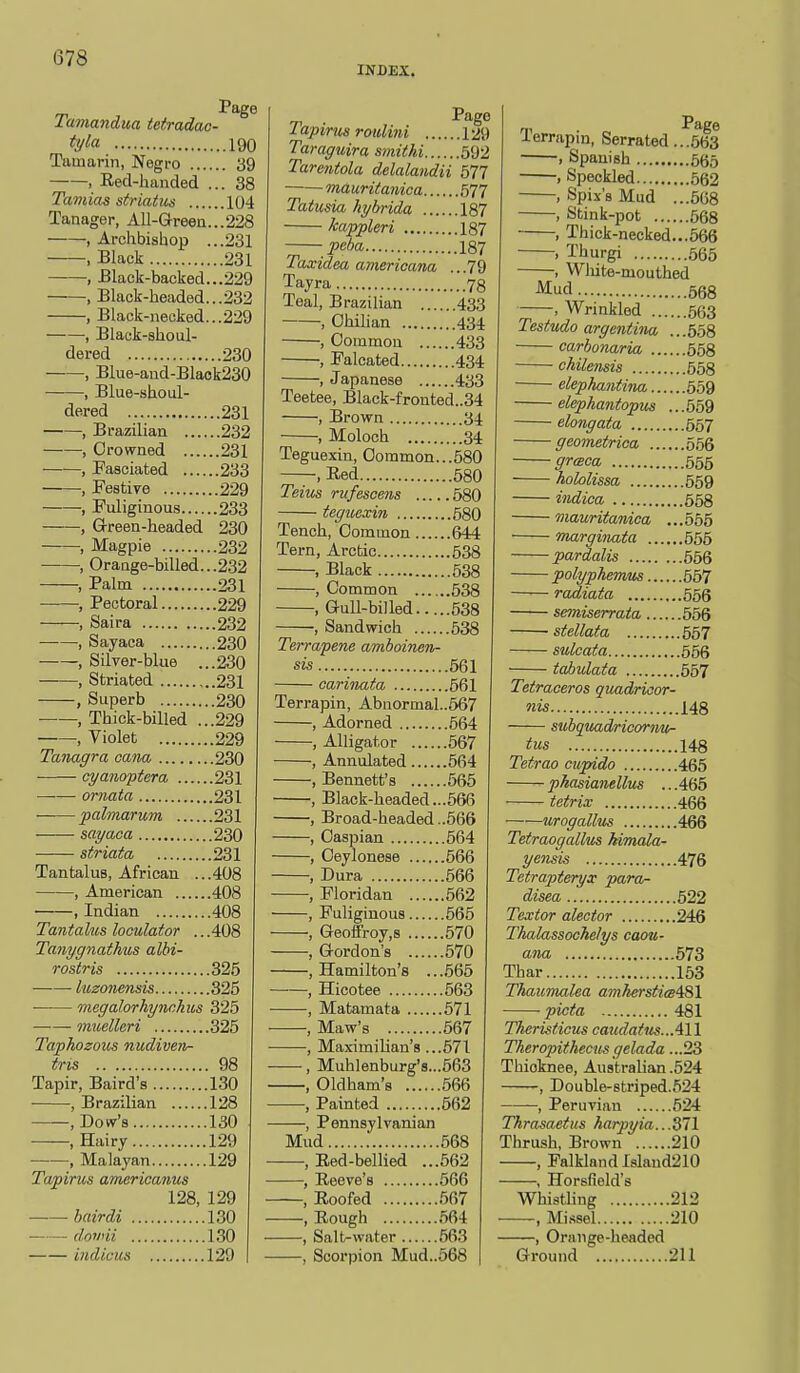 INDEX. Tamandua tetradao- tyla 190 Tamarin, Negro 39 , Red-handed ... 38 Taviias striatus 104 Tanager, All-Greea...228 , Archbishop ...231 , Black 231 , Black-backed...229 , Black-headed...232 , Black-necked...229 , Black-shoul- dered 230 , Blue-and-Blaok230 , Blue-shoul- dered 231 , Brazilian 232 , Crowned 231 , Fasciated 233 , Festive 229 , Fuliginous 233 , Green-headed 230 , Magpie 232 , Orange-billed...232 , Palm 231 , Pectoral 229 , Saira 232 , Sayaca 230 ; Silver-blue ...230 , Striated 231 , Superb 230 , Thick-billed ...229 , Violet 229 Tanagra cana 230 cyanoptera 231 ornata 231 'palm.arum 231 sayaca 230 striata 231 Tantalus, African .. .408 , American 408 , Indian 408 Tantalus looulator ...408 Tanygnathus alhi- rostris 325 luzonensis 325 viegalorhynchus 325 muelleri 325 Taphozous nudiven- tris 98 Tapir, Baird's 130 • , Brazilian 128 , Dowr's 130 , Hairy 129 , Malayan 129 Tapirus americanus 128, 129 bairdi 130 doyi'ii 1.30 indicus 129 Tapirus rouUni 129 Taraguira smithi 592 Tarentola delalandii 577 mauritanica 577 Tatusia hybrida 187 kappleri 187 peba 187 Taxidea amerioana .. .79 Tayra 73 Teal, Brazilian 433 , Ohihan 434 , Common 433 ■, Falcated 434 , Japanese 433 Teetee, Black-fronted..34 , Brovm 34 , Moloch 34 Teguexin, Common...580 , Red .. 580 Teius rufescens ..580 tegitsxin ...580 Tench, Common 644 Tern, Arctic ...538 ...538 , Common ,538 , Gull-billed.. ...538 , Sandwich ..638 Terrapene amboinen- sis ..561 561 Terrapin, Abnormal..667 , 564 , Alligator , 567 , Annulated 564 , Bennett's 665 , Black-headed...566 , Broad-headed..566 564 566 566 ,562 565 570 ..570 , Hamilton's . ...565 , Hicotee .563 .571 , Maw's 667 , Maximilian's . .571 , Muhlenburg's. , Oldham's , . .563 566 562 , Pennsylvanian Mud 568 , Red-bellied .. .562 , Reeve's 666 , Roofed 567 .564 ,56.S , Scorpion Mud..568 Terrapin, Serrated Page ...563 ...665 1 Speckled ., 562 , Spix's Mud ...568 , Stink-pot ...568 , Thick-necked...566 , Thurgi ...665 , Wlute-mouthed , Wrinkled ..663 lestuao argentma ..558 carbonaria ..658 chilemis . 658 elephantina , .659 elephantopus ..569 -.7 / elongata ..557 geometrica ..566 grmca hololissa ..559 indica mauritanica . ..555 marginata ..555 pardalis ..556 polyphemus . 567 radiata ..566 semiserrata 656 ■ stellata .567 sulcata .656 tabulata 657 Tetraceros quadrioor iiis subquadricornu- tus Tetrao cupido 465 pkasianellus .. .465 tctrix 466 urogallus 466 Tetraogallus kimala- .476 Tetrapteryx para- disea 622 Textor alector 246 Thalassochelys caou- 573 Thar .. 1.5.'? Thaumalea amkersticsiSl • pieta 481 Tkeristiciis caudatus...411 Theropithectt-sgelada ...23 Thioknee, Australian .524 , Double-striped.,524 , Peruvian 624 Thrasaetus harpyia.. .371 Thrush, Brown 210 , Falkland Island210 , Horsfield's Whisthng 212 ■ Mi.ssel 210 , Orange-headed Ground 211