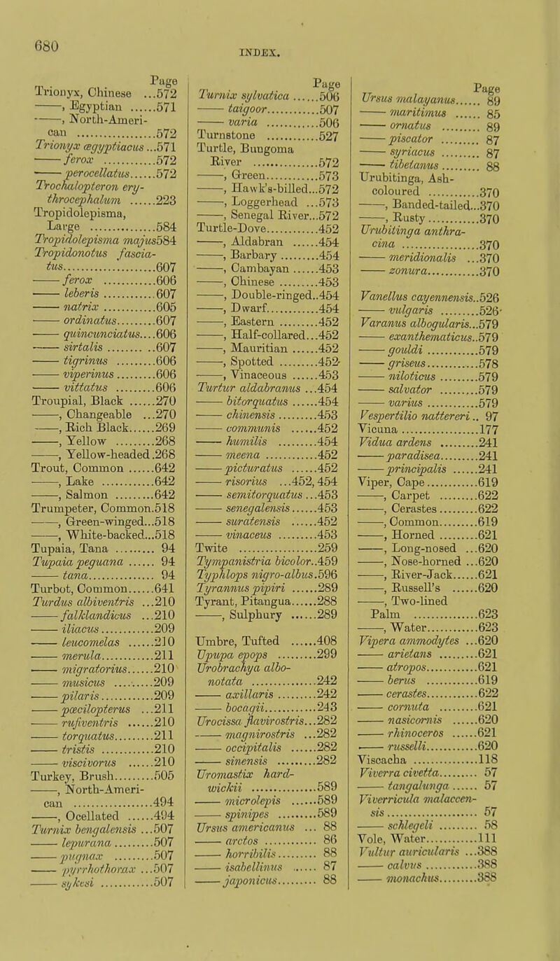 INDEX. Puge Trionyx, Chinese ...572 , Egyptian 571 , North-Ameri- can 572 Trionyx cBgyptiaciis ...571 • ferox 572 perocellatus 572 Trochalopteron ery- throcephalum 223 Tropidolepisma, Large 584 Tropidolepisma majusbSi Tropidonotus fascia- tits ! 607 ferox 606 leberis 607 nairix 605 ordinatus 607 quincunciatus.... 606 • sirtalis 607 tigrinus 606 viperinus 606 vittatus 606 Troupial, Black 270 , Changeable ...270 , Eich Black 269 .Yellow 268 • , Yellow-headed .268 Trout, Common 642 , Lake 642 , Salmon 642 Trumpeter, Common.518 , Green-winged...618 , ■White-backed...518 Tupaia, Tana 94 Tupaia peg nana 94 ■ tana 94 Turbot, Common 641 Tiirdus albi ventris ... 210 falklandicus ...210 iliacus 209 leucovielas 210 iTierula 211 migratorius 210 mtisictts .209 pilaris 209 pcecilopterus ...211 rujiveiitris 210 torquatus 211 tristis 210 visci varus 210 Turkey, Brush 505 , North-Ameri- can 494 , Ocellated 494 Turnix bengalcnsis ...507 lejmrana 507 pugnax 507 pyrrhotkorax ...507 sykcsi 507 Tumix sylvatica 506 taigoor 507 varia 506 Turnstono 527 Turtle, Buugoma Eiver 672 , Green 573 , I-Iawk's-billed...572 , Loggerhead ...573 , Senegal River...572 Turtle-Dove 452 , Aldabran 454 , Barbary 454 , Cambayan 453 , Chinese 453 , Double-ringed..454 , Dwarf 454 , Eastern 452 , Half-coUared...452 , Mauritian 452 , Spotted 452- • , Vinaceous 4.53 Turtur aldabramos .. .454 bitorquatus 454 chinensis 453 communis 452 humilis 454 meena 452 picturatus 452 risorius ...452,454 semitorquatus.. .453 senegalensis 453 suratensis 452 vinaceus 453 Twite 259 Tympanistria bioolor.A59 Typlilops nigro-albus.596 Tyranmis pipiri 289 Tyrant, Pitangua 288 , Sulphury 289 Umbre, Tufted 408 Vpupa epops 299 Urobrachya albo- notata 242 axillaris 242 bocagii 243 Urocissa jlavirostris.. .282 magnirostris ... 282 occipitalis 282 sinensis 282 Uromastix hard- wicMi 689 microlepis 589 spinipes 589 Urstis ainericanus ... 88 arctos 86 horrihiliK 88 isahellinns 87 japonicm 88 Ursus malayanus 89 maritimus 85 omatus 89 piscator 87 syriacus 87 tibeianus 88 Urubitinga, Ash- coloured 370 , Banded-tailed...370 , Rusty 370 Urubilinga anthra- cina 370 meridionalis .. .370 zonura 370 Vanellus cayenimisis..526 Vidgaris 526' Varanus albogularis...579 exantkematicus..579 gouldi 579 griseus 578 niloticus 579 salvator 579 varius 579 Vespertilio nattereri.. 97 Vicuna 177 Vidua ardens 241 paradisea 241 principalis 241 Viper, Cape 619 , Carpet 622 , Cerastes 622 •, Common 619 , Horned 621 , Long-nosed ...620 , Nose-horned ...620 , River-Jack 621 , Russell's 620 , Two-lined Palm 623 , Water 623 Vipera ammodytes ...620 arieians 621 atropos 621 berus 619 cerastes 622 cornuta 621 nasicortiis 620 rhinoceros 621 russelli 620 Viscacha 118 Viverra dvetta 57 tangahtnga 57 Vivcrrtcida malaccen- sis 57 schlegeli 58 Vole, Water Ill Vultur auricularis ...388 calvus 388 monachm 338