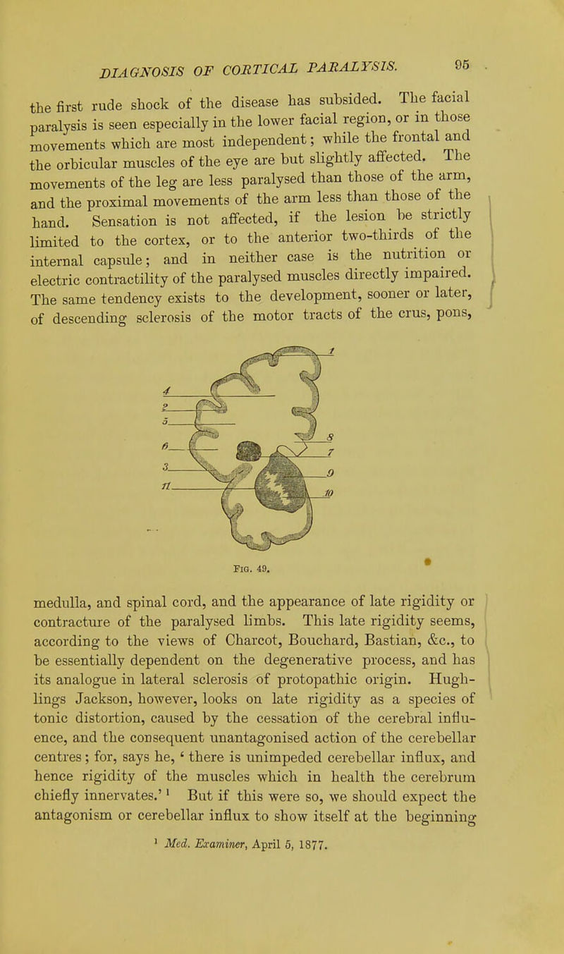 the first rude shock of the disease has subsided. The facial paralysis is seen especially in the lower facial region, or in those movements which are most independent; while the frontal and the orbicular muscles of the eye are but slightly affected. The movements of the leg are less paralysed than those of the arm, and the proximal movements of the arm less than those of the hand. Sensation is not affected, if the lesion be strictly limited to the cortex, or to the anterior two-thirds of the internal capsule; and in neither case is the nutrition or electric contractility of the paralysed muscles directly impaired. The same tendency exists to the development, sooner or later, of descending sclerosis of the motor tracts of the crus, pons, Fig. 49. medulla, and spinal cord, and the appearance of late rigidity or contracture of the paralysed limbs. This late rigidity seems, according to the views of Charcot, Bouchard, Bastian, &c., to be essentially dependent on the degenerative process, and has its analogue in lateral sclerosis of protopathic origin. Hugh- lings Jackson, however, looks on late rigidity as a species of tonic distortion, caused by the cessation of the cerebral influ- ence, and the consequent unantagonised action of the cerebellar centres; for, says he, ' there is unimpeded cerebellar influx, and hence rigidity of the muscles which in health the cerebrum chiefly innervates.'' But if this were so, we should expect the antagonism or cerebellar influx to show itself at the beginning ' Med. Examiner, April 5, 1877,