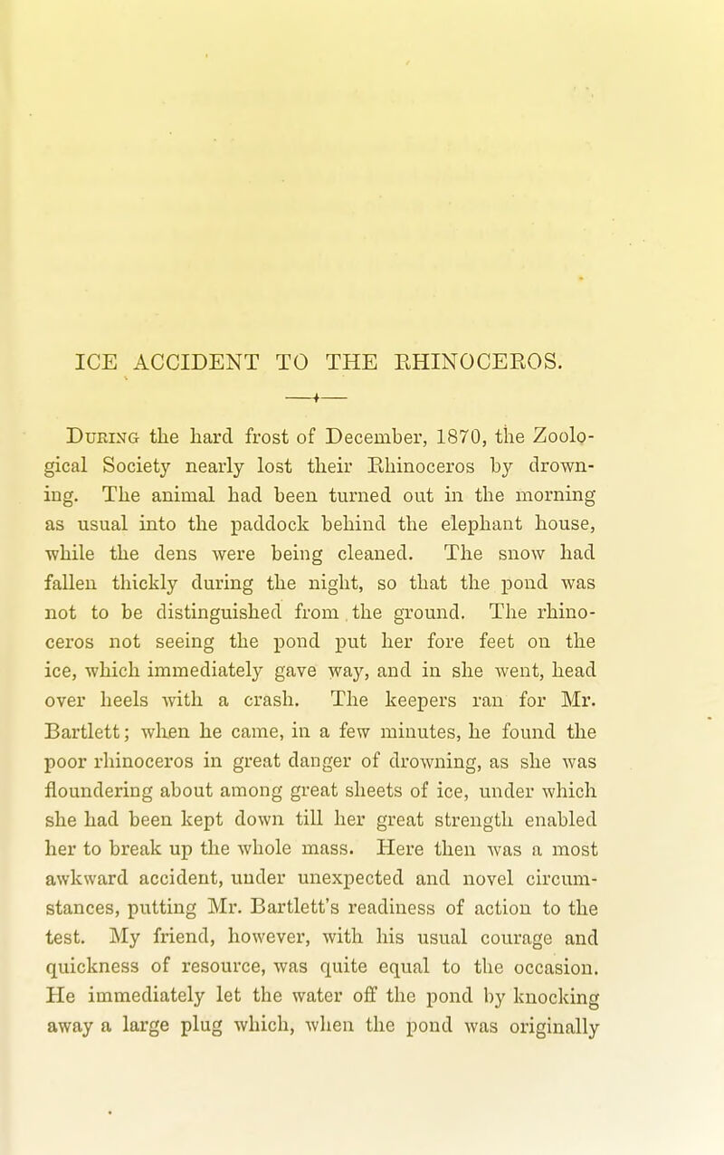 ICE ACCIDENT TO THE EHINOCEKOS. ^— During tlie hard frost of December, 1870, the Zoolo- gical Society nearly lost their Ehinoceros by drown- ing. The animal had been turned out in the morning as usual into the paddock behind the elephant house, while the dens were being cleaned. The snow had fallen thickly during the night, so that the pond was not to be distinguished from the ground. The rhino- ceros not seeing the pond put her fore feet on the ice, which immediately gave way, and in she went, head over heels with a crash. The keepers ran for Mr. Bartlett; when he came, in a few minutes, he found the poor rhinoceros in great danger of drowning, as she was floundering about among great sheets of ice, under which she had been kept down till her great strength enabled her to break up the whole mass. Here then was a most awkward accident, under unexpected and novel circum- stances, putting Mr. Bartlett's readiness of action to the test. My friend, however, with his usual courage and quickness of resource, was quite equal to the occasion. He immediately let the water off the pond by knocking away a large plug which, wlien the pond was originally