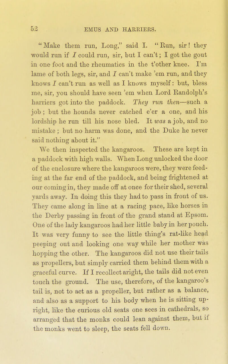Make them run, Long, said I. Eun, sir! they would run if / could run, sir, but I can't; I got the gout in one foot and the rheumatics in the t'other knee. I'm lame of both legs, sir, and I can't make 'em run, and they knows I can't run as well as I knows myself: but, bless me, sir, you should have seen 'em when Lord Eandolph's harriers got into the paddock. They run then—such a job ; but the hounds never catched e'er a one, and his lordship he run till his nose bled. It was a job, and no mistake ; but no harm was done, and the Duke he never said nothing about it. We then inspected the kangaroos. These are kept in a paddock with high walls. When Long unlocked the door of the enclosure where the kangaroos were, they were feed- ing at the far end of the paddock, and being frightened at our coming in, they made off at once for their shed, several yards away. In doing this they had to pass in front of us. They came along in line at a racing pace, like horses in the Derby passing in front of the grand stand at Epsom. One of the lady kangaroos had her little baby in her pouch. It was very funny to see the little thing's rat-like head peeping out and looking one way while her mother was hopping the other. The kangaroos did not use their tails as propellers, but simply carried them behind them with a gi-aceful curve. If I recollect aright, the tails did not even touch the ground. The use, therefore, of the kangaroo's tail is, not to act as a propeller, but rather as a balance, and also as a support to his body when he is sitting up- right, like the curious old seats one sees in cathedrals, so arranged that the monks could lean against them, but if the monks went to sleep, the seats fell down.