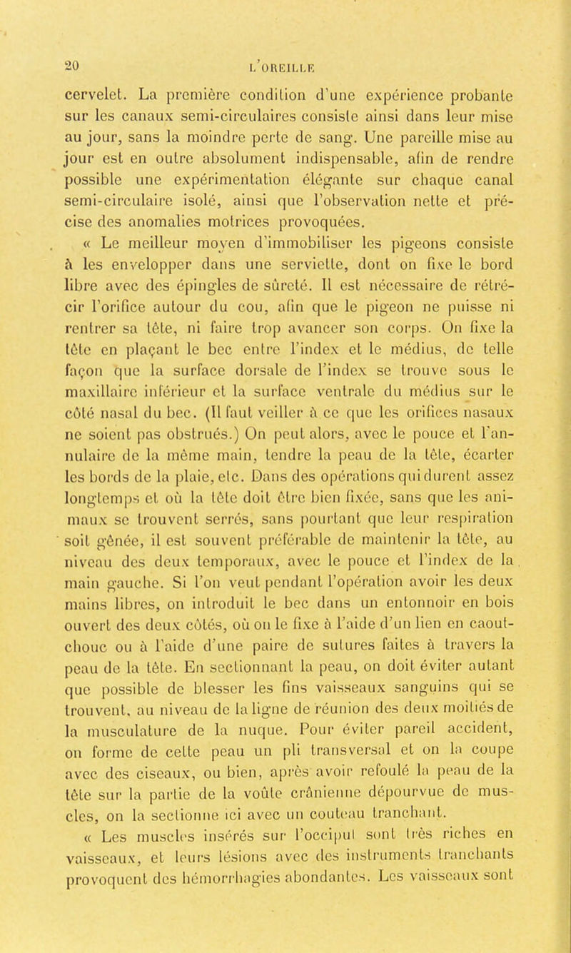 I. OREILLR cervelet. La première condition d’une expérience probante sur les canaux semi-circulaires consiste ainsi dans leur mise au jour, sans la moindre perte de sang. Une pareille mise au jour est en outre absolument indispensable, afin de rendre possible une expérimentation élégante sur chaque canal semi-circulaire isolé, ainsi que l’observation nette et pré- cise des anomalies motrices provoquées. « Le meilleur moyen d’immobiliser les pigeons consiste à les envelopper dans une serviette, dont on fixe le bord libre avec des épingles de sûreté. 11 est nécessaire de rétré- cir l’orifice autour du cou, afin que le pigeon ne puisse ni rentrer sa tête, ni faire trop avancer son corps. Ün fixe la tète en plaçant le bec entre l’index et le médius, de telle façon que la surface dorsale de l’index se trouve sous le maxillaire inférieur et la surface ventrale du médius sur le côté nasal du bec. (U faut veiller û ce que les orifices nasaux ne soient pas obstrués.) On peut alors, avec le pouce et l'an- nulaire de la môme main, tendre la peau de la tête, écarter les bords do la ])laie, etc. Dans des opérations qui durent assez longtemp.s et où la tète doit être bien fixée, sans que les ani- maux se trouvent serrés, sans pourtant que leur respiration soit gênée, il est souvent préférable de maintenir la tête, au niveau des deux temporaux, avec le pouce et l’index de la main gauche. Si l’on veut pendant l’opération avoir les deux mains libres, on introduit le bec dans un entonnoir en bois ouvert des deu.x côtés, où on le fixe à l’aide d’un lien en caout- chouc ou à l’aide d’une paire de sutures faites à travers la peau de la tête. En sectionnant la peau, on doit éviter autant que possible de blesser les fins vaisseaux sanguins qui se trouvent, au niveau de la ligne de réunion des deux moitiés de la musculature de la nuque. Pour éviter pareil accident, on forme de cette peau un pli transversal et on la coupe avec des ciseaux, ou bien, après avoir refoulé la |)eau de la tête sur la partie de la voûte crânienne dépourvue de mus- cles, on la sectionne ici avec un couteau tranchant. « Les muscles insérés sur l’occipul sont très riches en vaisseau.v, et leiu’s lésions avec des instruments tranchants provoquent des hémori'hagies abondantes. Les vaisseaux sont