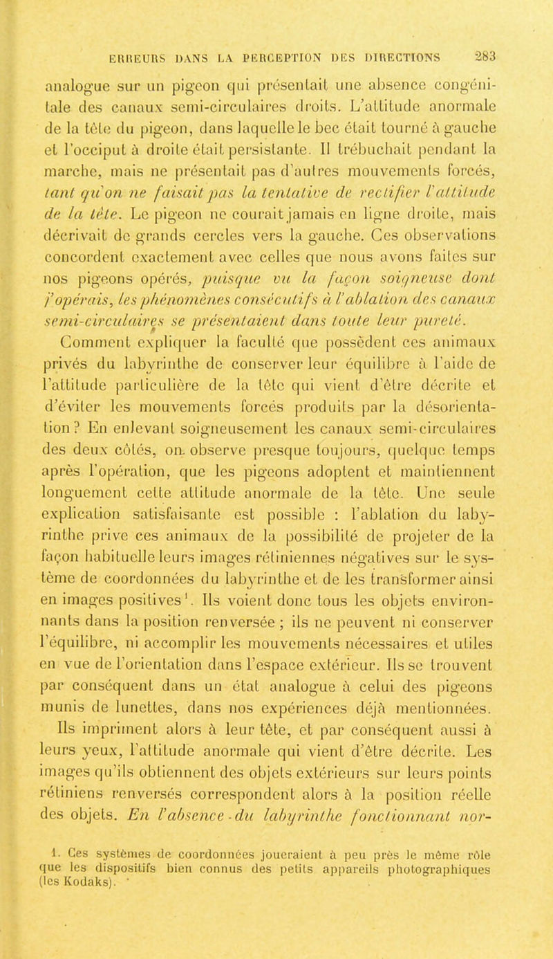 analogue sur un pig’oon qui prcsenlail une absence cong’éni- lale des canaux semi-circulaires droits. L’altitude anormale de la tète du pigeon, dans laquelle le bec était tourné à gauche et l’occiput à droite était persistante. II trébuchait pendant la marche, mais ne présentait j)as d’aulres mouvemenls forcés, tant qu'on ne faisait pas la tentative de rectifier ïattitude de la tète. Le pigeon ne coui’ait jamais en ligne droite, mais décrivait de grands cercles vers la gauche. Ges observations concordent exactement avec celles que nous avons failes sur nos pigeons opérés, puisque vu la façon soigneuse dont }’opérais. Les phénomènes consécutifs ti l’ablation des canaux semi-circulaires se présentaient dans toute leur pureté. Comment expliquer la faculté que po.ssèdenl ces animaux privés du labyrinthe de conserver leur équilibre à l’aide de l’attitude particulière de la lèlc qui vient d’être décrite et d’éviter les mouvements forcés produits par la désoi'icnta- lion ? En enlevant soigneusement les canaux semi-circulaires des deux côtés, on. observe presque toujours, (juelquo temps après l’opération, que les pigeons adoptent et maintiennent longuement celte attitude anormale de la tète. Une seule explication satisfaisante est possible : l’ablation du lab}'- rinthe prive ces animaux do la possibilité de projeter de la laçon habituelle leurs images rétiniennes négatives sur le sys- tème de coordonnées du labyrinthe et de les transformer ainsi en images positives'. Ils voient donc tous les objets environ- nants dans la position renversée ; ils ne peuv^ent ni conserver l’équilibre, ni accomplir les mouvements nécessaires et utiles en vue de l’orientation dans l’espace e.xtéricur. lisse trouvent par conséquent dans un état analogue à celui des pigeons munis de lunettes, dans nos expériences déjà mentionnées. Ils impriment alors à leur tête, et par conséquent aussi à leurs yeux, l’attitude anormale qui vient d’être décrite. Les images qu’ils obtiennent des objets extérieurs sur leurs points rétiniens renversés correspondent alors à la position réelle des objets. En l’absence - du labyrinthe fonctionnant nor- 1. Ges systèmes de coordonnées joueraient à peu près le môme rôle <iue les dispositifs bien connus des petits apiiareils photographiques (les Kodaks). '