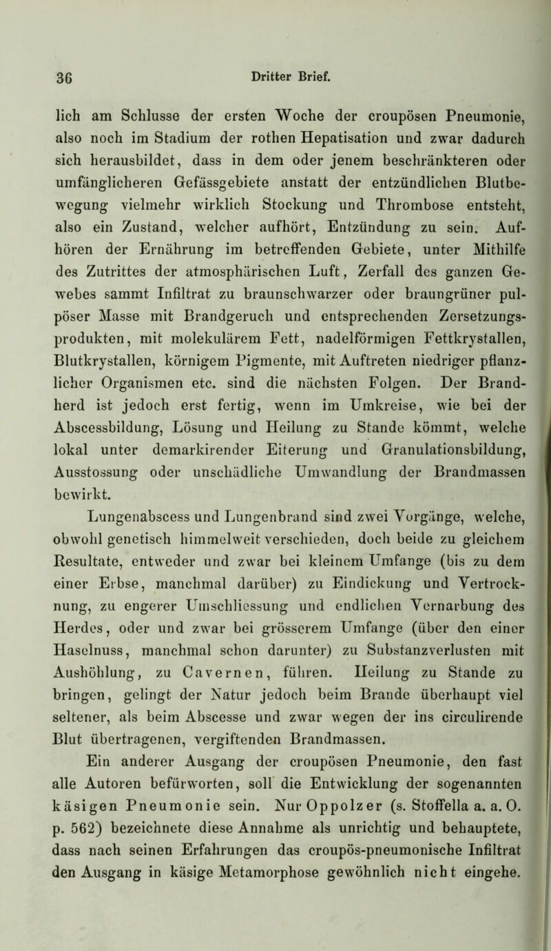 lieh am Schlüsse der ersten Woche der croupösen Pneumonie, also noch im Stadium der rothen Hepatisation und zwar dadurch sich herausbildet, dass in dem oder jenem beschränkteren oder umfänglicheren Gefässgebiete anstatt der entzündlichen Blutbe- wegung vielmehr wirklich Stockung und Thrombose entsteht, also ein Zustand, welcher aufhört, Entzündung zu sein. Auf- hören der Ernährung im betreffenden Gebiete, unter Mithilfe des Zutrittes der atmosphärischen Luft, Zerfall des ganzen Ge- webes sammt Infiltrat zu braunschwarzer oder braungrüner pul- pöser Masse mit Brandgeruch und entsprechenden Zersetzungs- produkten, mit molekulärem Fett, nadelförmigen Fettkrystallen, Blutkrystallen, körnigem Pigmente, mit Auftreten niedriger pflanz- licher Organismen etc. sind die nächsten Folgen. Der Brand- herd ist jedoch erst fertig, wenn im Umkreise, wie bei der Abscessbildung, Lösung und Heilung zu Stande kömmt, welche lokal unter demarkirender Eiterung und Granulationsbildung, Ausstossung oder unschädliche Umwandlung der Brandmassen bewirkt. Lungenabscess und Lungenbrand sind zwei Vorgänge, welche, obwohl genetisch himmelweit verschieden, doch beide zu gleichem Resultate, entweder und zwar bei kleinem Umfange (bis zu dem einer Erbse, manchmal darüber) zu Eindickung und Vertrock- nung, zu engerer Umschliessung und endlichen Vernarbung des Herdes, oder und zwar bei grösserem Umfange (über den einer Haselnuss, manchmal schon darunter) zu Substanzverlusten mit Aushöhlung, zu Cavernen, führen. Heilung zu Stande zu bringen, gelingt der Natur jedoch beim Brande überhaupt viel seltener, als beim Abscesse und zwar wegen der ins circulirende Blut übertragenen, vergiftenden Brandmassen. Ein anderer Ausgang der croupösen Pneumonie, den fast alle Autoren befürw'orten, soll die Entwicklung der sogenannten käsigen Pneumonie sein. Nur Oppolzer (s. Stoffelia a. a. 0. p. 562) bezeichnete diese Annahme als unrichtig und behauptete, dass nach seinen Erfahrungen das croupös-pneumonische Infiltrat den Ausgang in käsige Metamorphose gewöhnlich nicht eingehe.