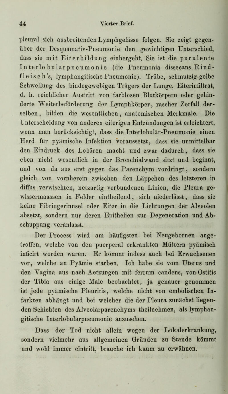 pleural sich ausbrcitenden Lymphgefässe folgen. Sie zeigt gegen- über der Desquamativ-Pneumonie den gewichtigen Unterschied, dass sie mit Eiterbildung einhergeht. Sie ist die purulente Interlobularpneumonie (die Pneumonia dissecans Rind- fleisch’s, lymphangitische Pneumonie). Trübe, schmutzig-gelbe Schwellung des bindegewebigen Trägers der Lunge, Eiterinfiltrat, d, h. reichlicher Austritt von farblosen Blutkörpern oder gehin- derte Weiterbeförderung der Lymphkörper, rascher Zerfall der- selben , bilden die wesentlichen, anatomischen Merkmale. Die Unterscheidung von anderen eiterigen Entzündungen ist erleichtert, wenn man berücksichtigt, dass die Interlobulär-Pneumonie einen Herd für pyämische Infektion Voraussetzt, dass sie unmittelbar den Eindruck des Lobären macht und zwar dadurch, dass sie eben nicht wesentlich in der Bronchialwand sitzt und beginnt, und von da aus erst gegen das Parenchym vordringt, sondern gleich von vornherein zwischen den Läppchen des letzteren in diffus verwischten, netzartig verbundenen Linien, die Pleura ge- wissermaassen in Felder eintheilend, sich niederlässt, dass sie keine Fibringerinnsel oder Eiter in die Lichtungen der Alveolen absetzt, sondern nur deren Epithelien zur Degeneration und Ab- schuppung veranlasst. Der Process wird am häufigsten bei Neugebornen ange- troffen, welche von den puerperal erkrankten Müttern pyämisch inficirt worden waren. Er kömmt indess auch bei Erwachsenen vor, welche an Pyämie starben. Ich habe sie vom Uterus und den Yagina aus nach Aetzungen mit ferrum candens, von Ostitis der Tibia aus einige Male beobachtet, ja genauer genommen ist jede pyämische Pleuritis, welche nicht von embolischen In- farkten abhängt und bei welcher die der Pleura zunächst liegen- den Schichten des Alveolarparenchyms theilnehmen, als lymphan- gitische Interlobularpneumonie anzusehen. Dass der Tod nicht allein wegen der Lokalerkrankung, sondern vielmehr aus allgemeinen Gründen zu Stande kömmt und wohl immer eintritt, brauche ich kaum zu erwähnen.